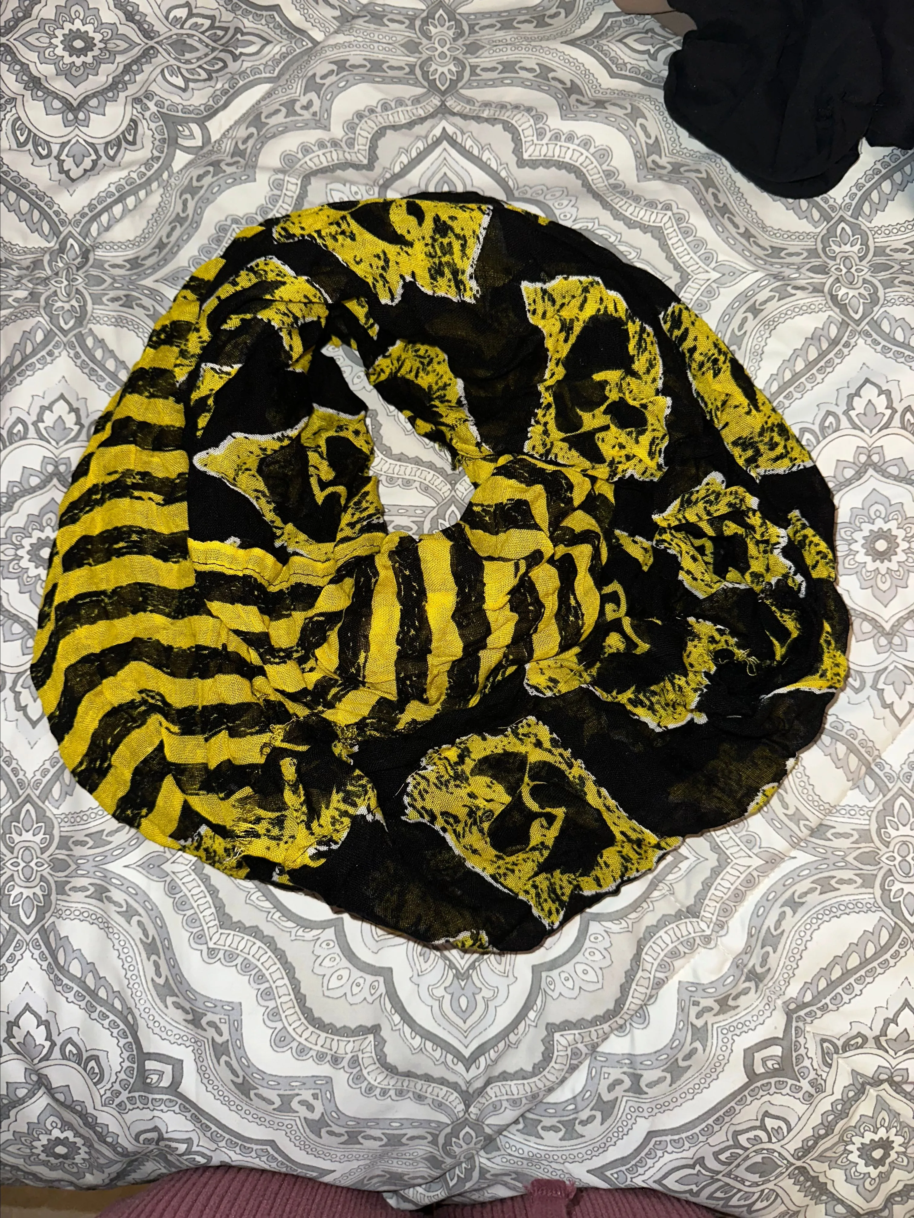 Product image for University of Iowa Infinity Scarf