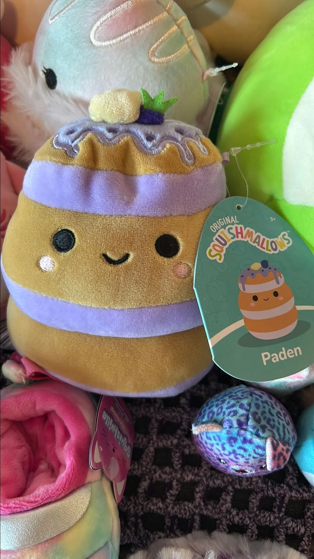 Product image for Laden blueberry pancake 6in squish