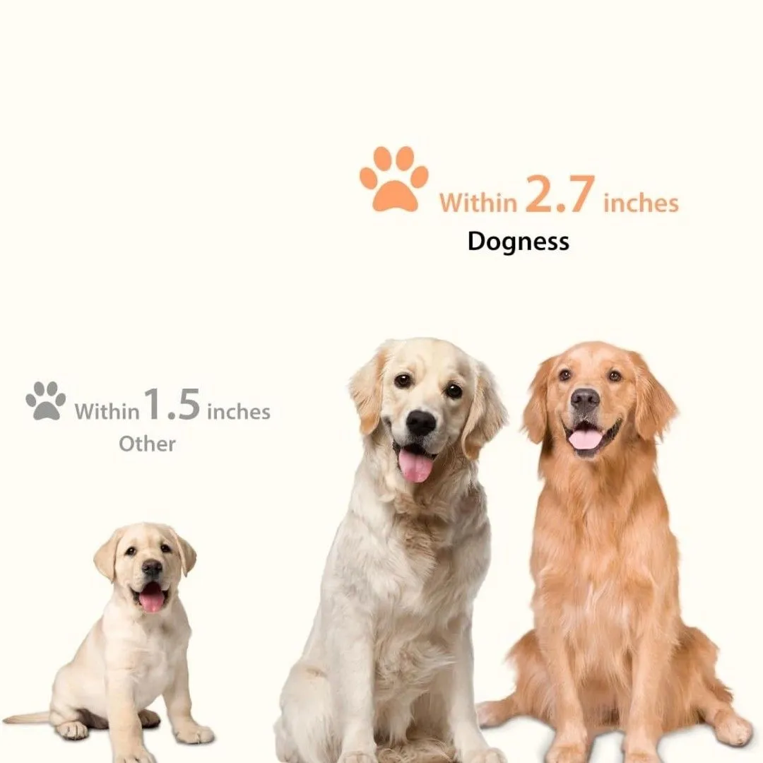 Listing Image Blurred Background