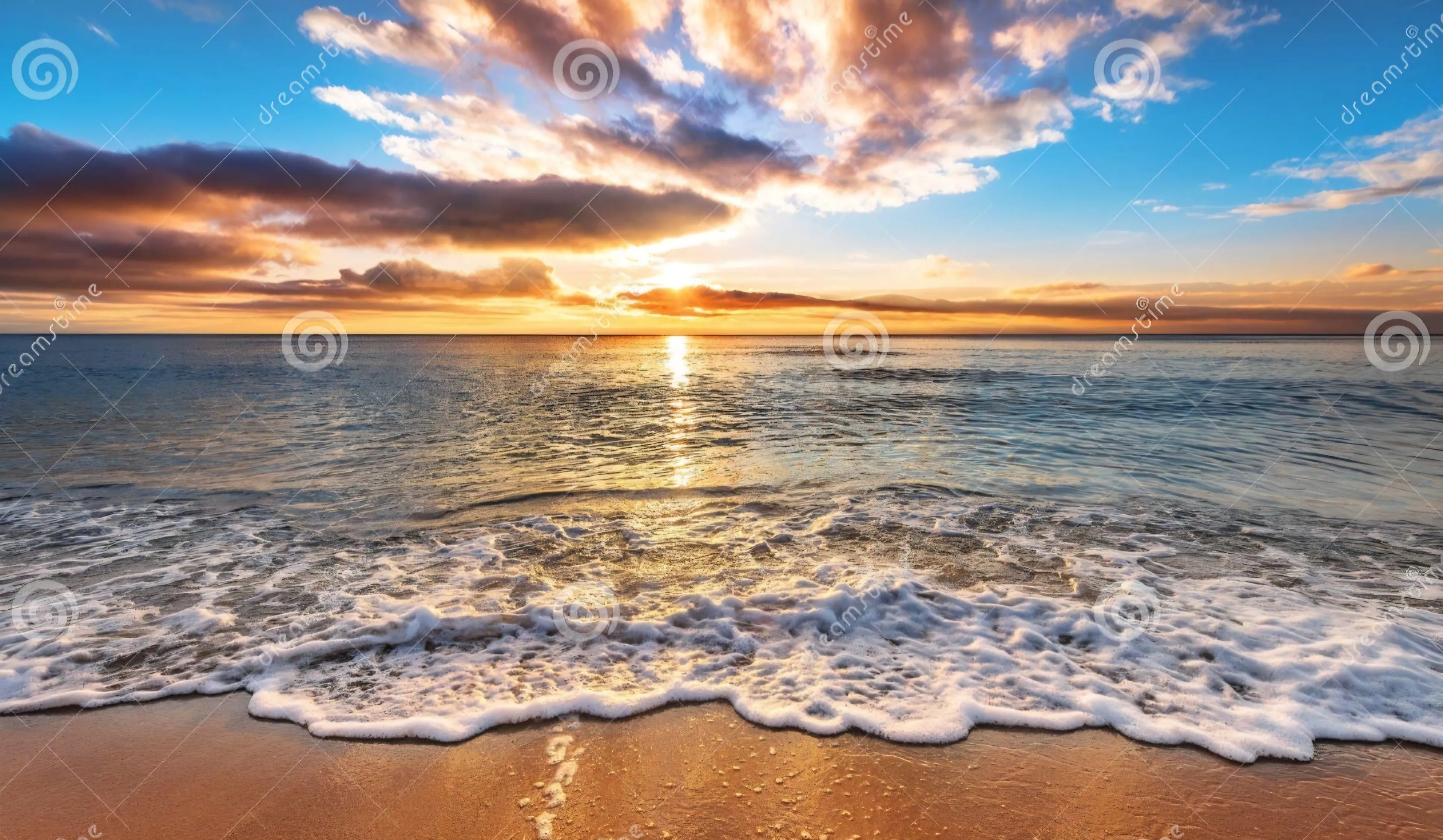 5c0fbc5d-eb9f-4cc1-962a-241e92b302e0