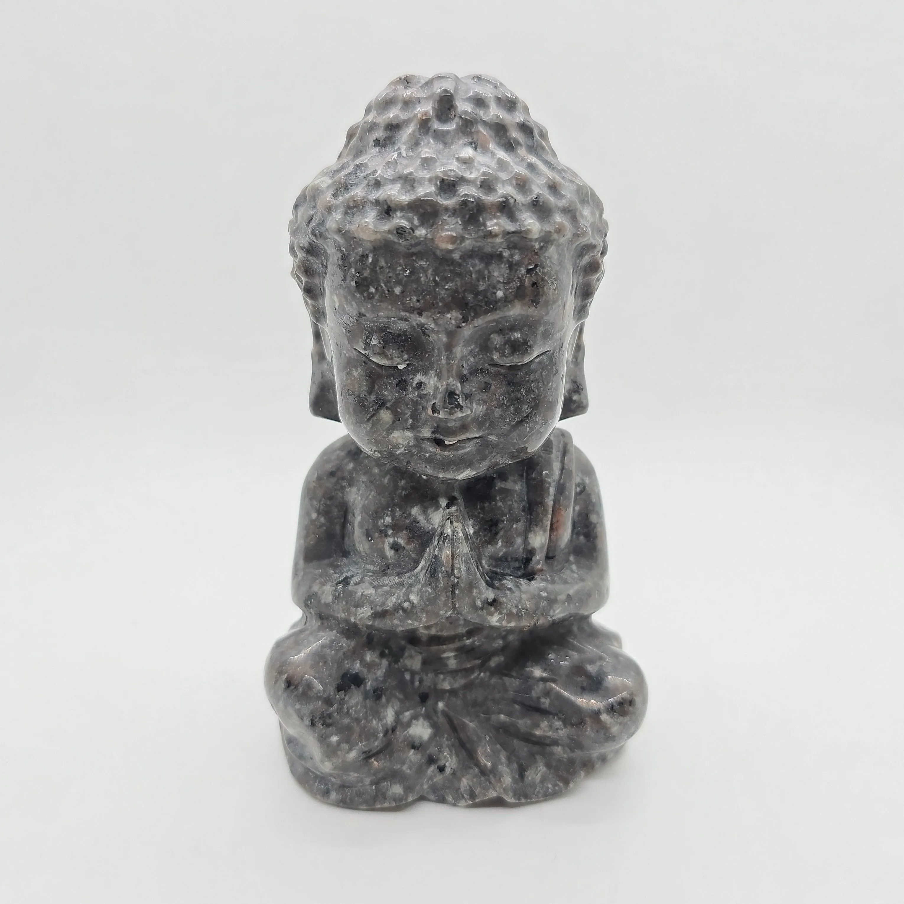 Product image for Yooperlite Praying Buddha