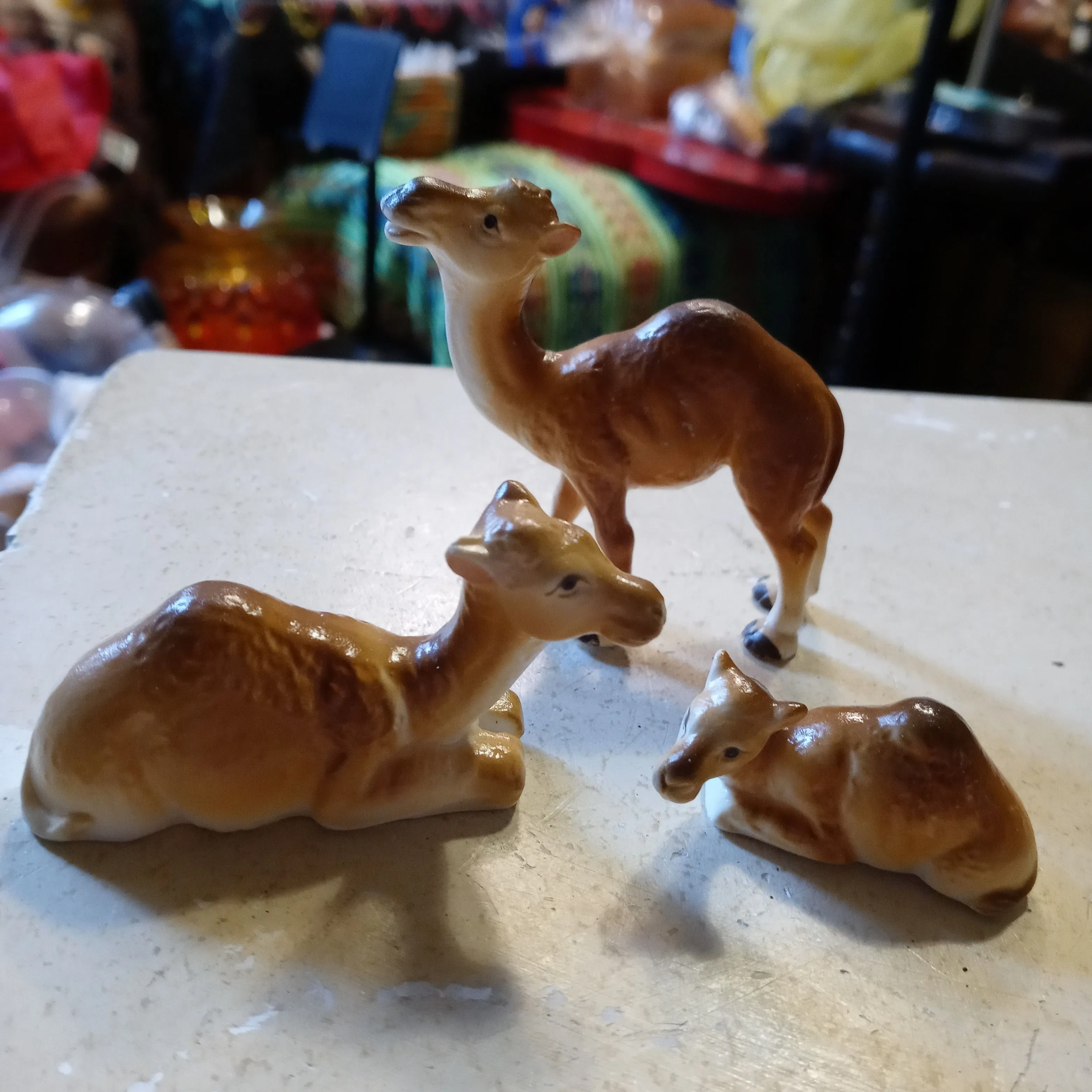 Product image for 279. bone china camel family
