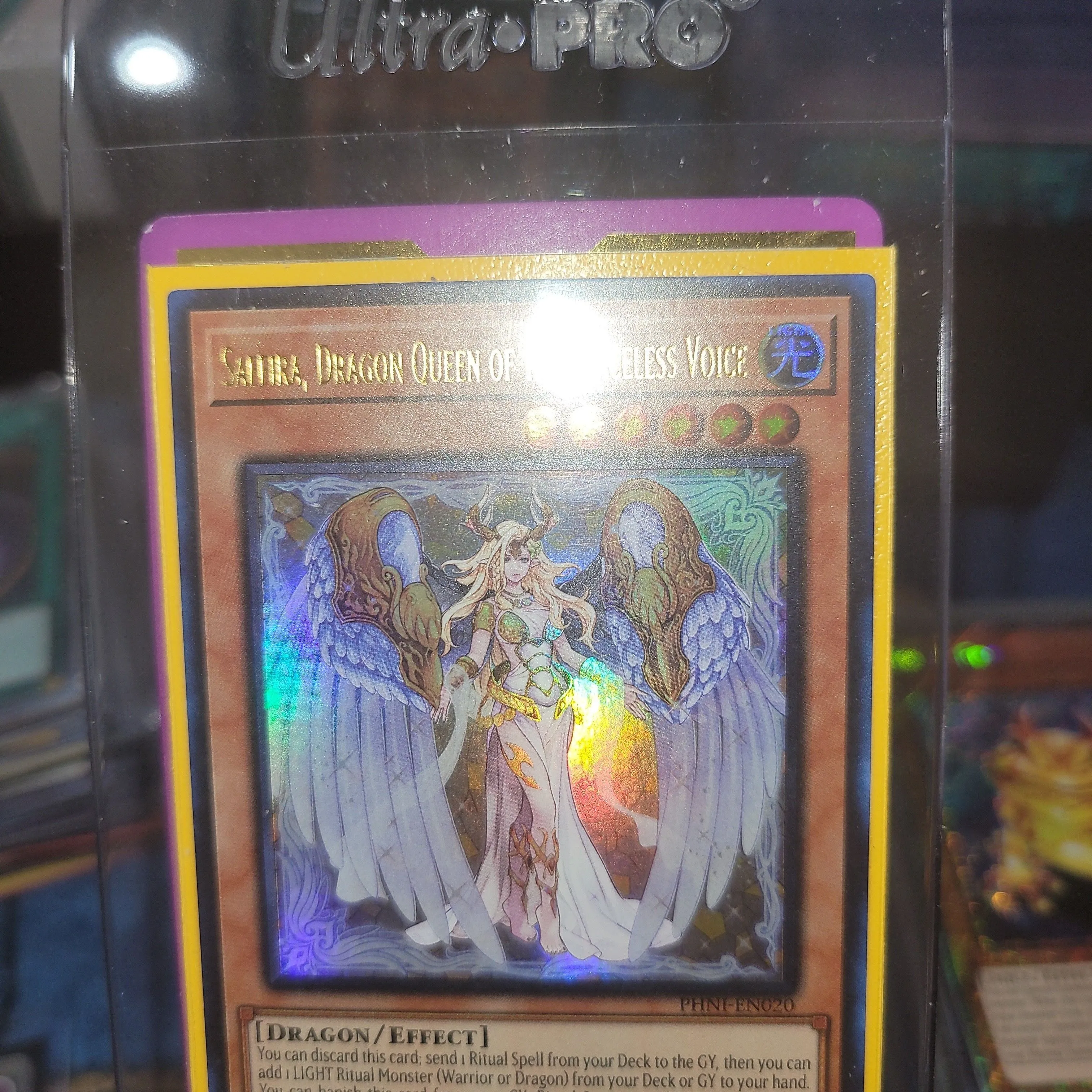 Product image for Saffira, Dragon Queen of the Voiceless Voice