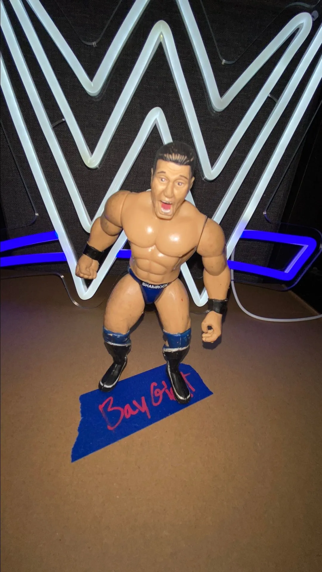 Product image for Ken Shamrock BCA Jakks