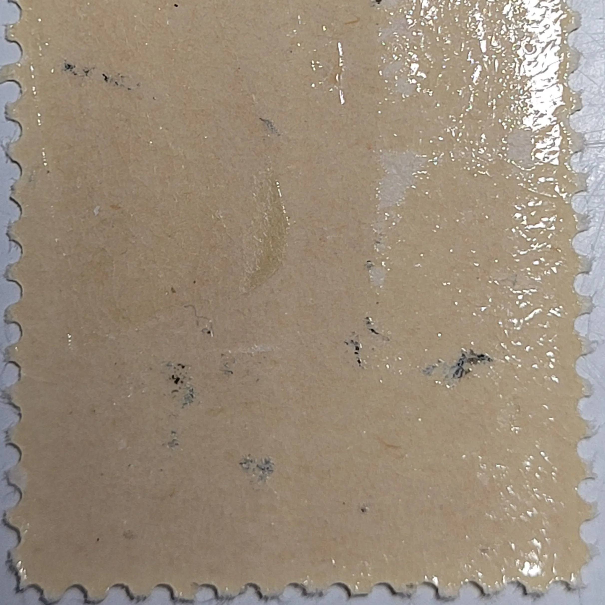 Listing Image Blurred Background
