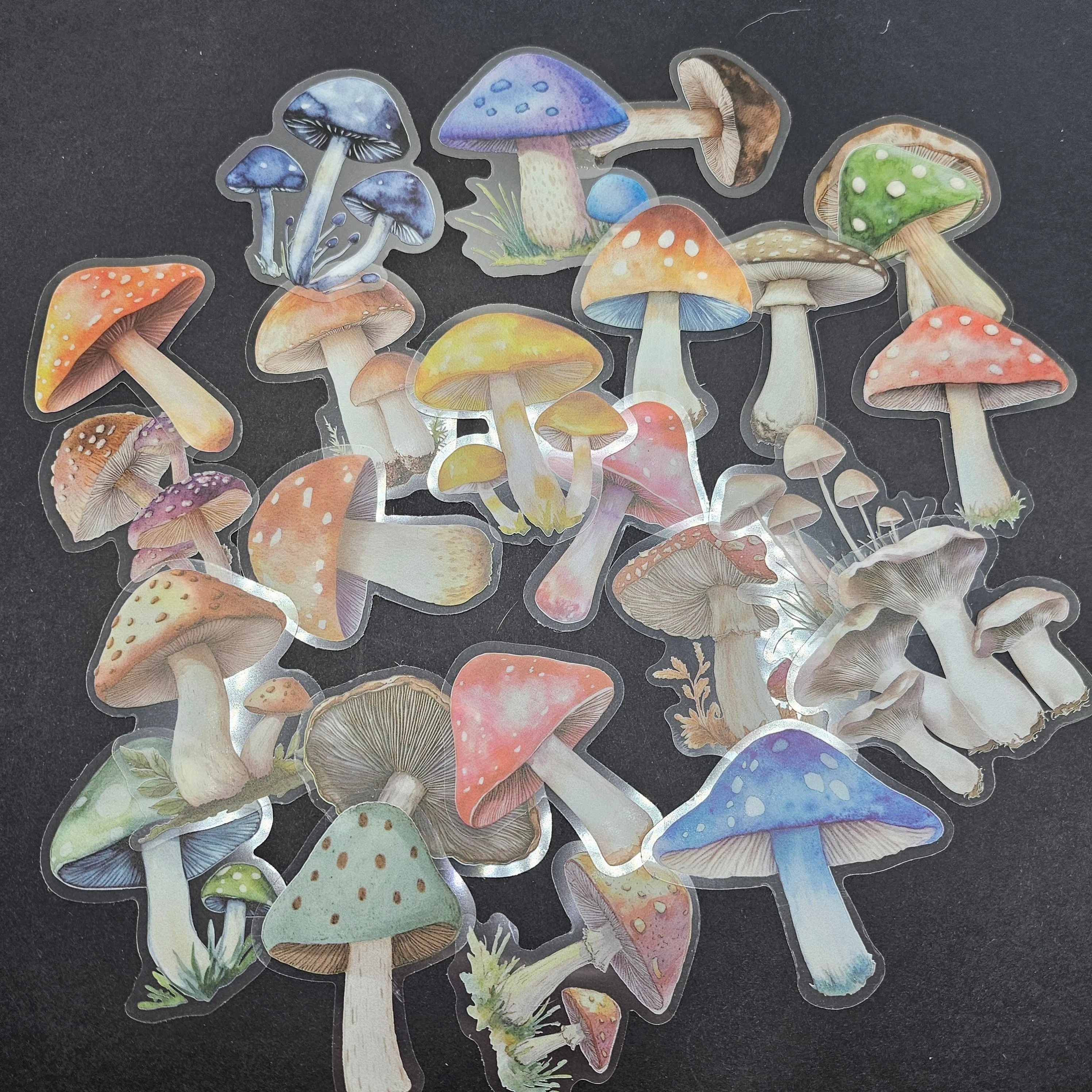 Product image for RANDOM Precut Individual Colorful or Realism set of 4 sticker decals clear w/matte - various sizes