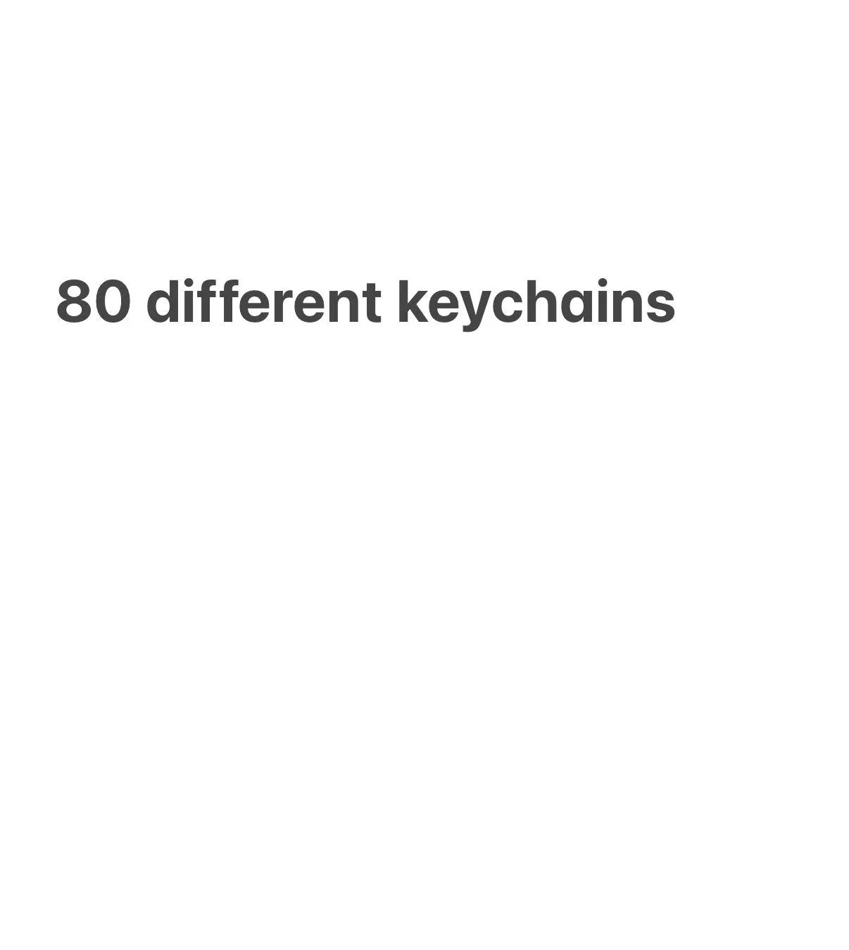 Product image for 80 different keychains