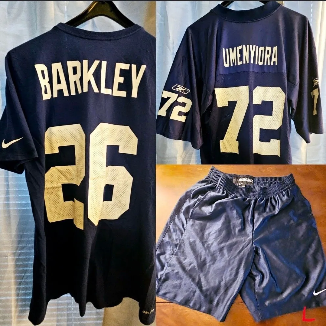 Product image for New York Giants Large