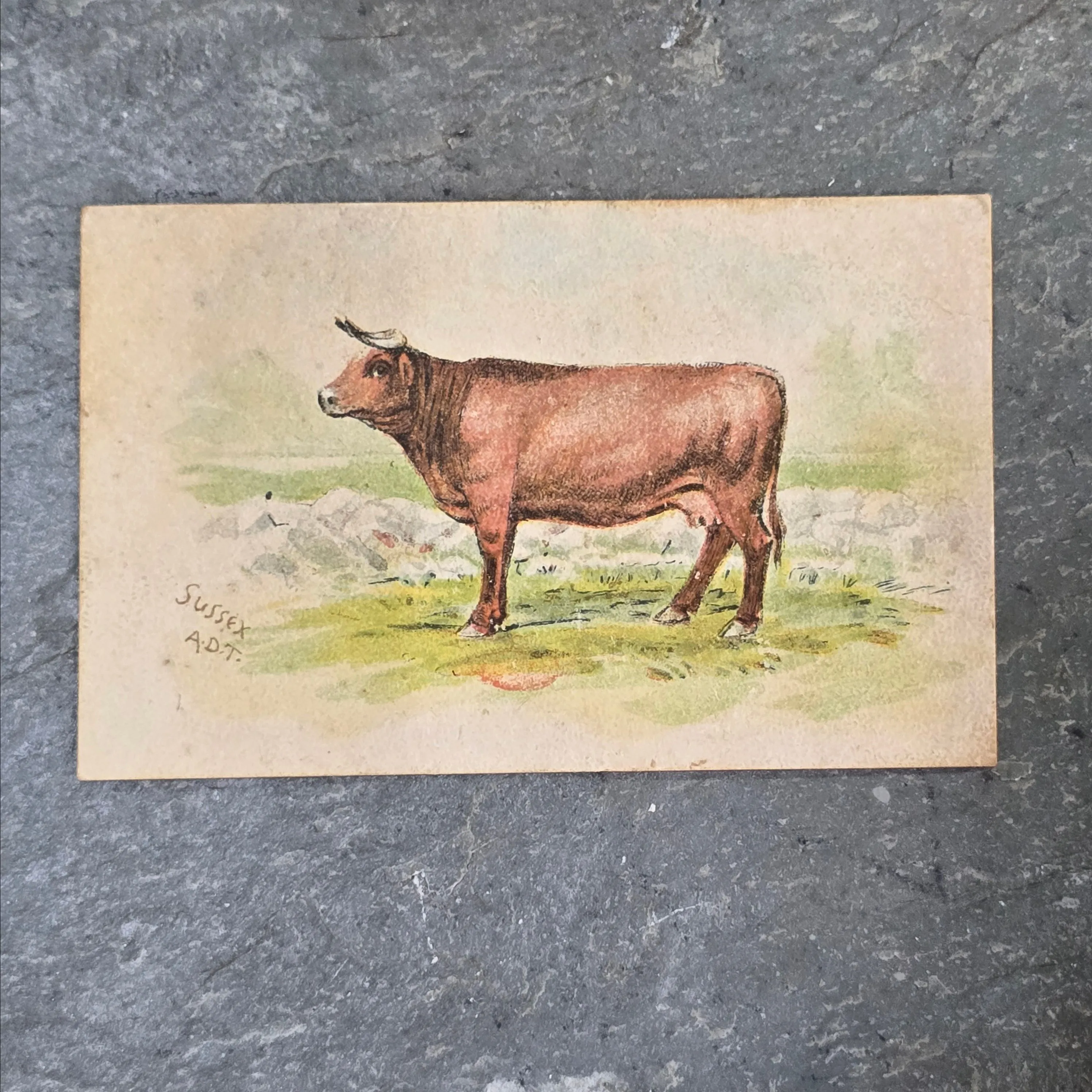 Product image for Cow Brand Baking Soda Sussex Cow Antique Victorian Trade Card Advertising Card (WNB1-85)
