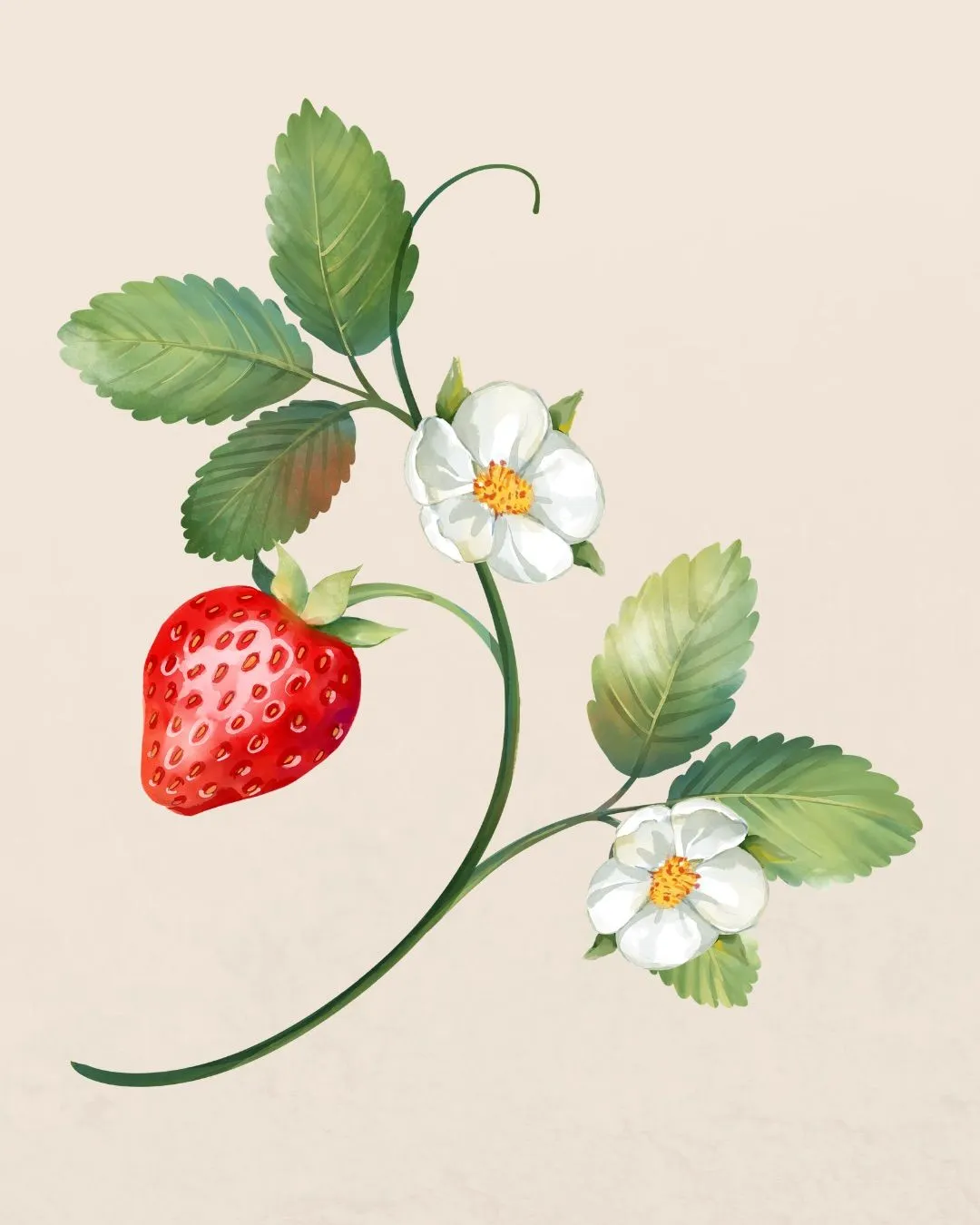 5ff42374-a6f6-4e0b-bd6f-a2aab97f260d
