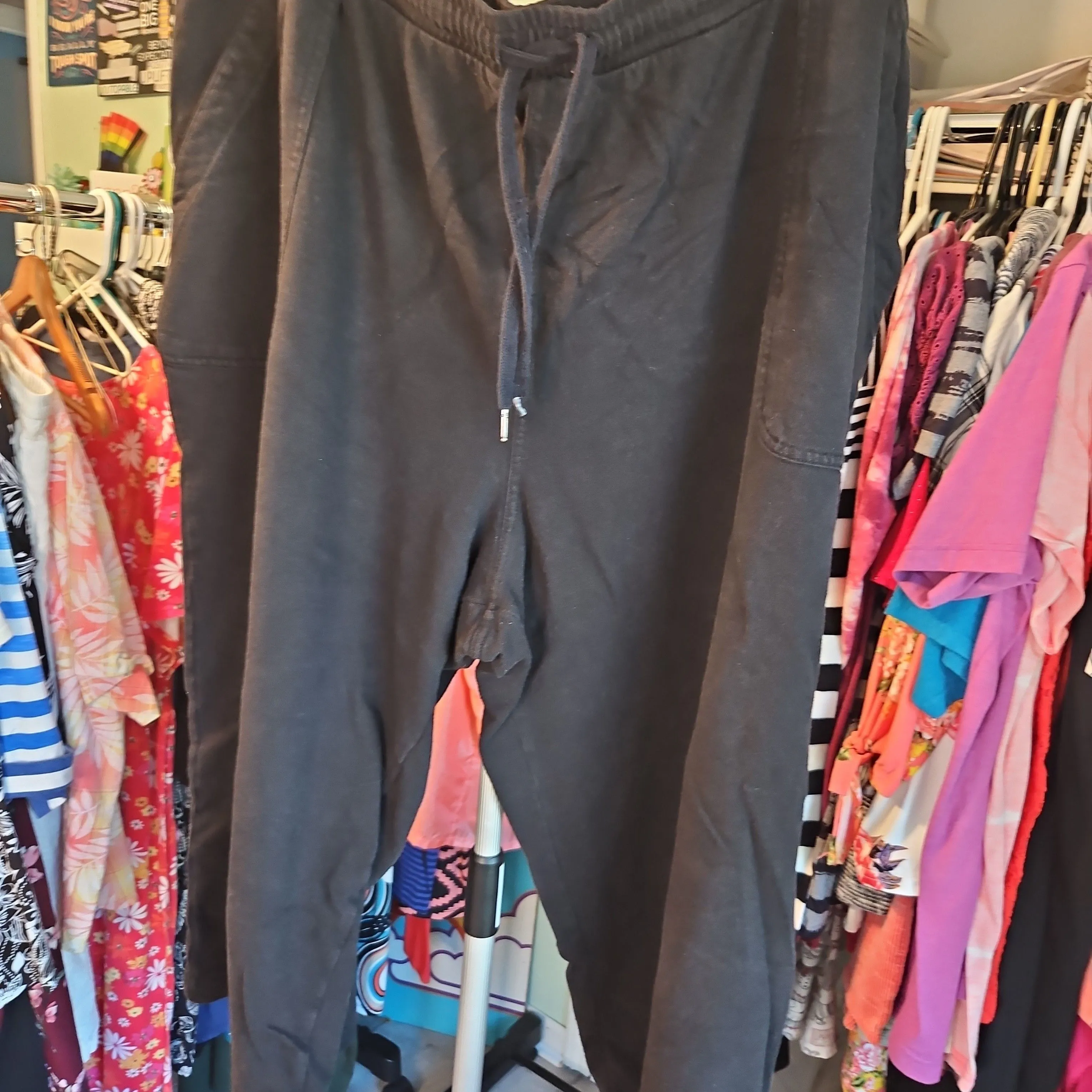 Product image for Terra & Sky pants sz 3x