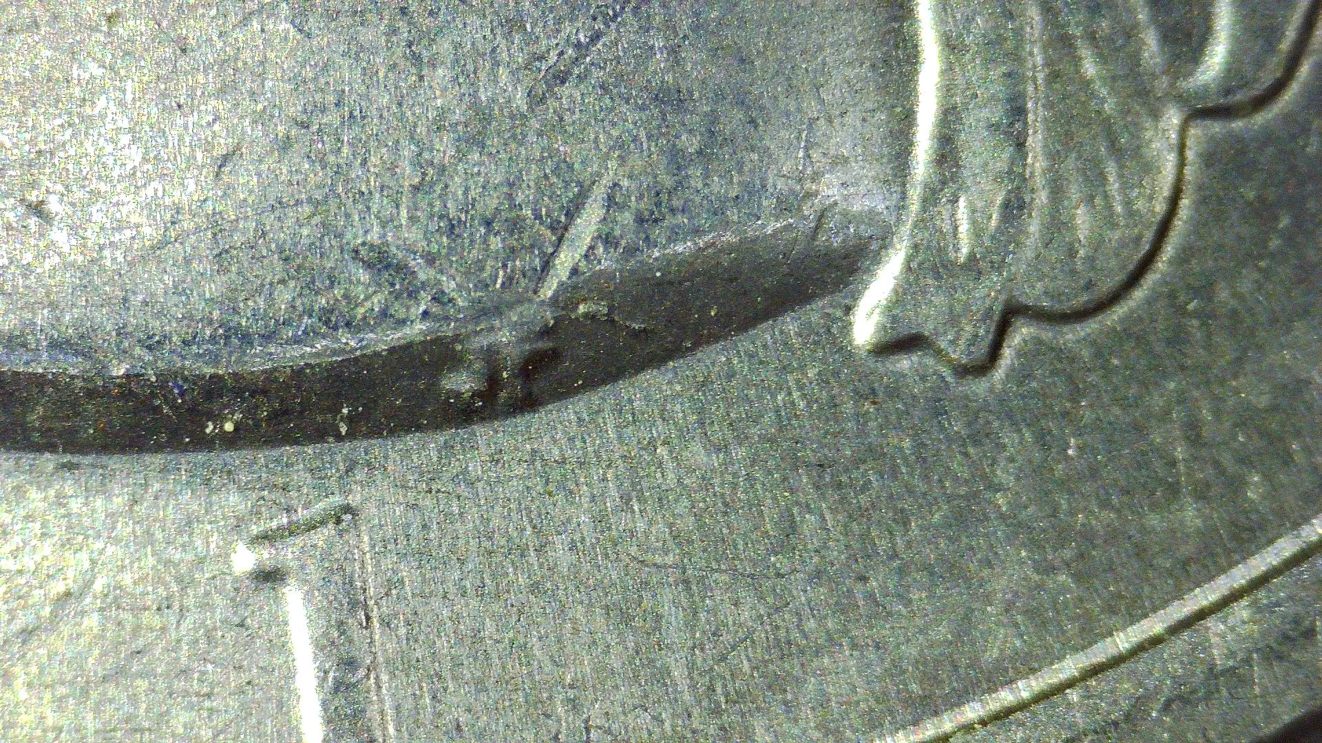 Listing Image Blurred Background