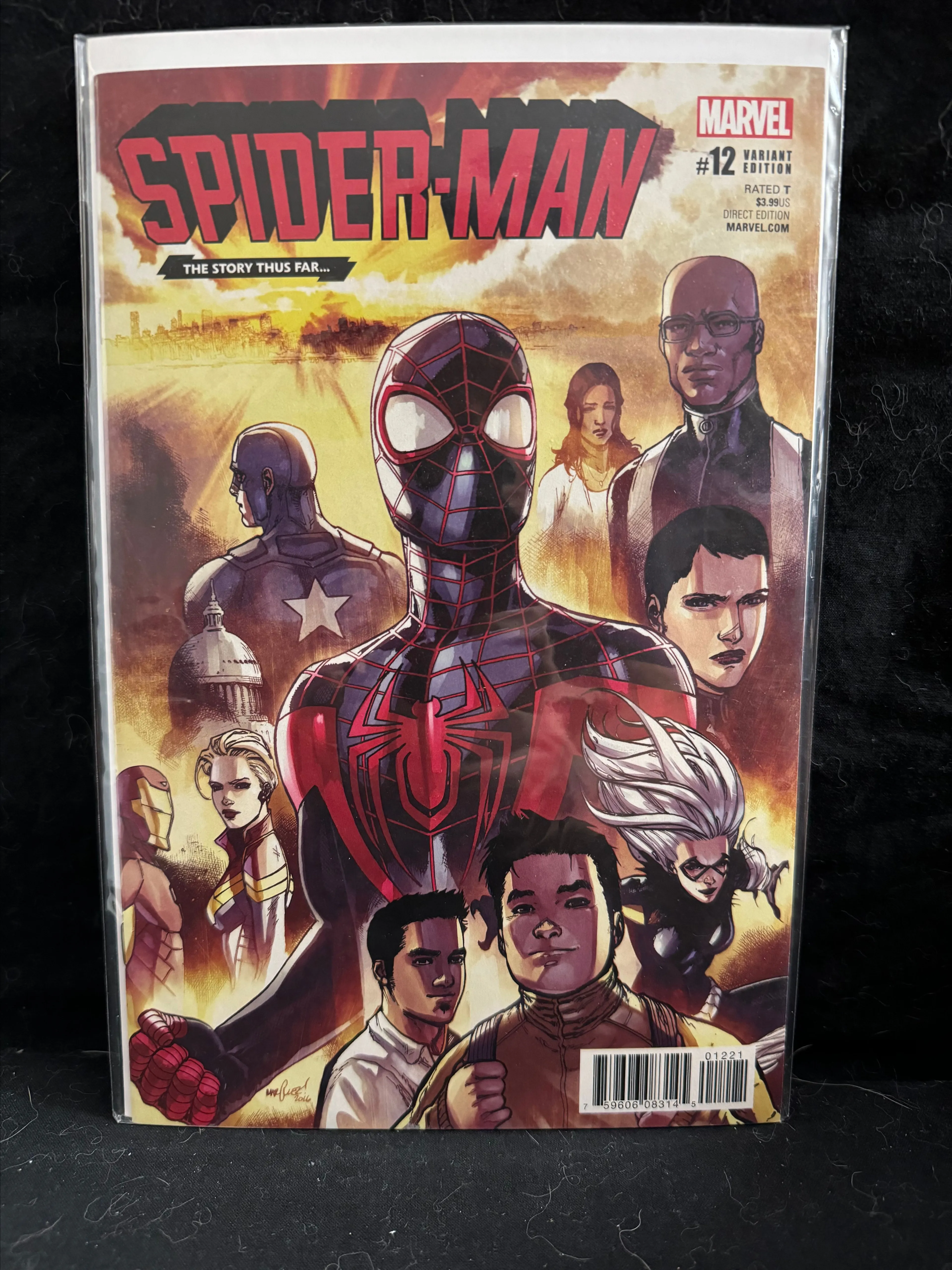 Product image for Spider-Man #12