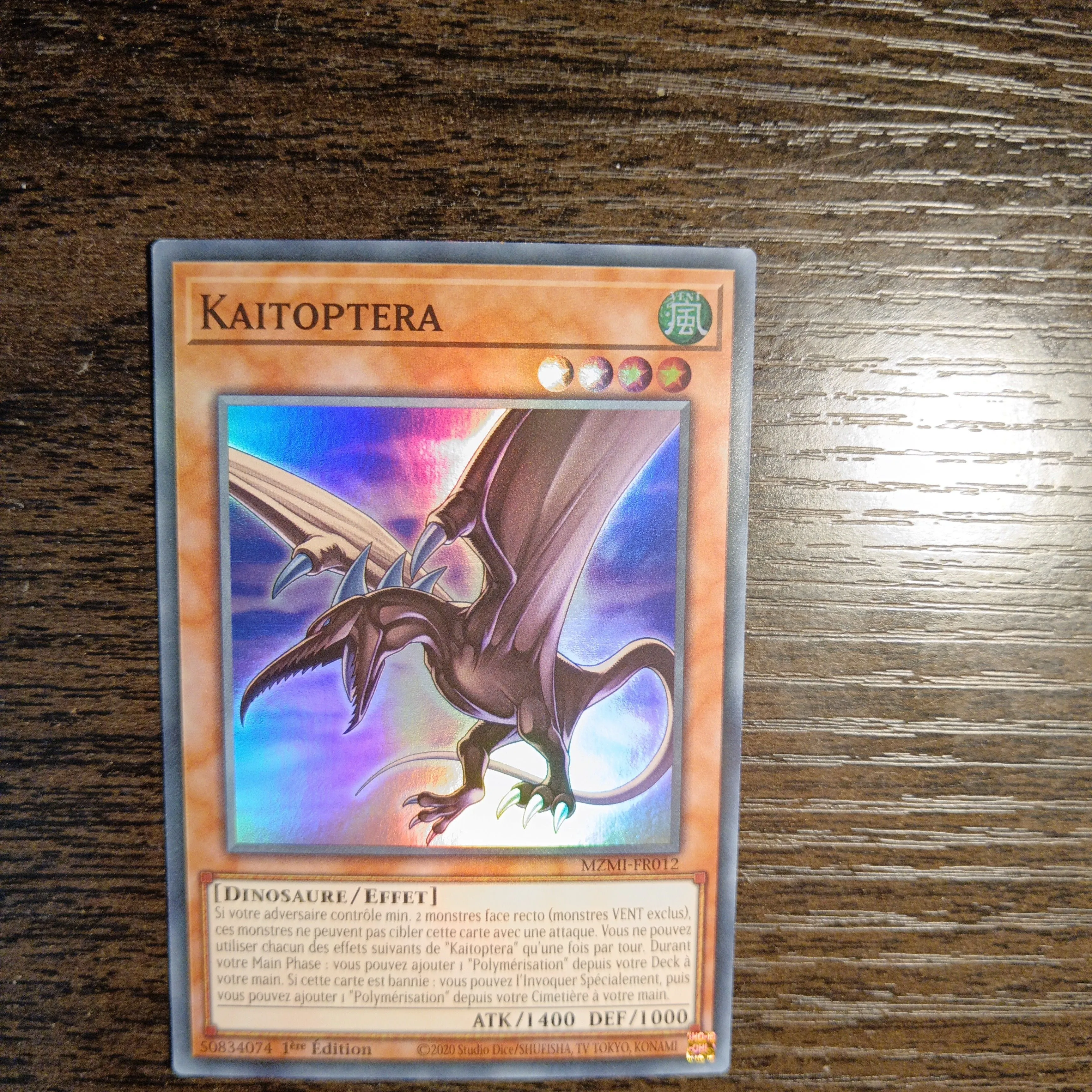Product image for Kaitoptera - MZMI-FR012
