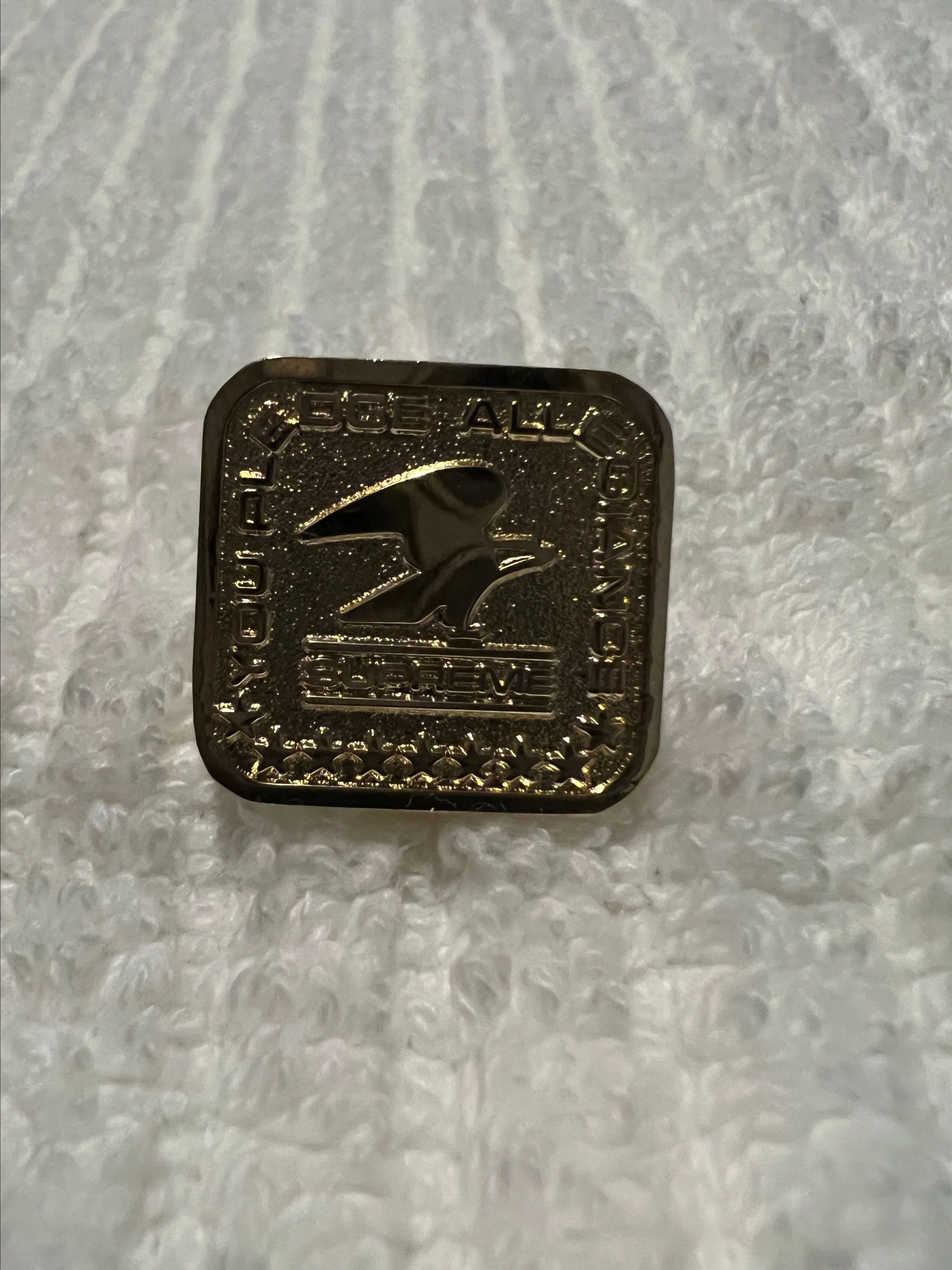 Product image for GOLD Supreme Pledge Allegiance Pin FW19