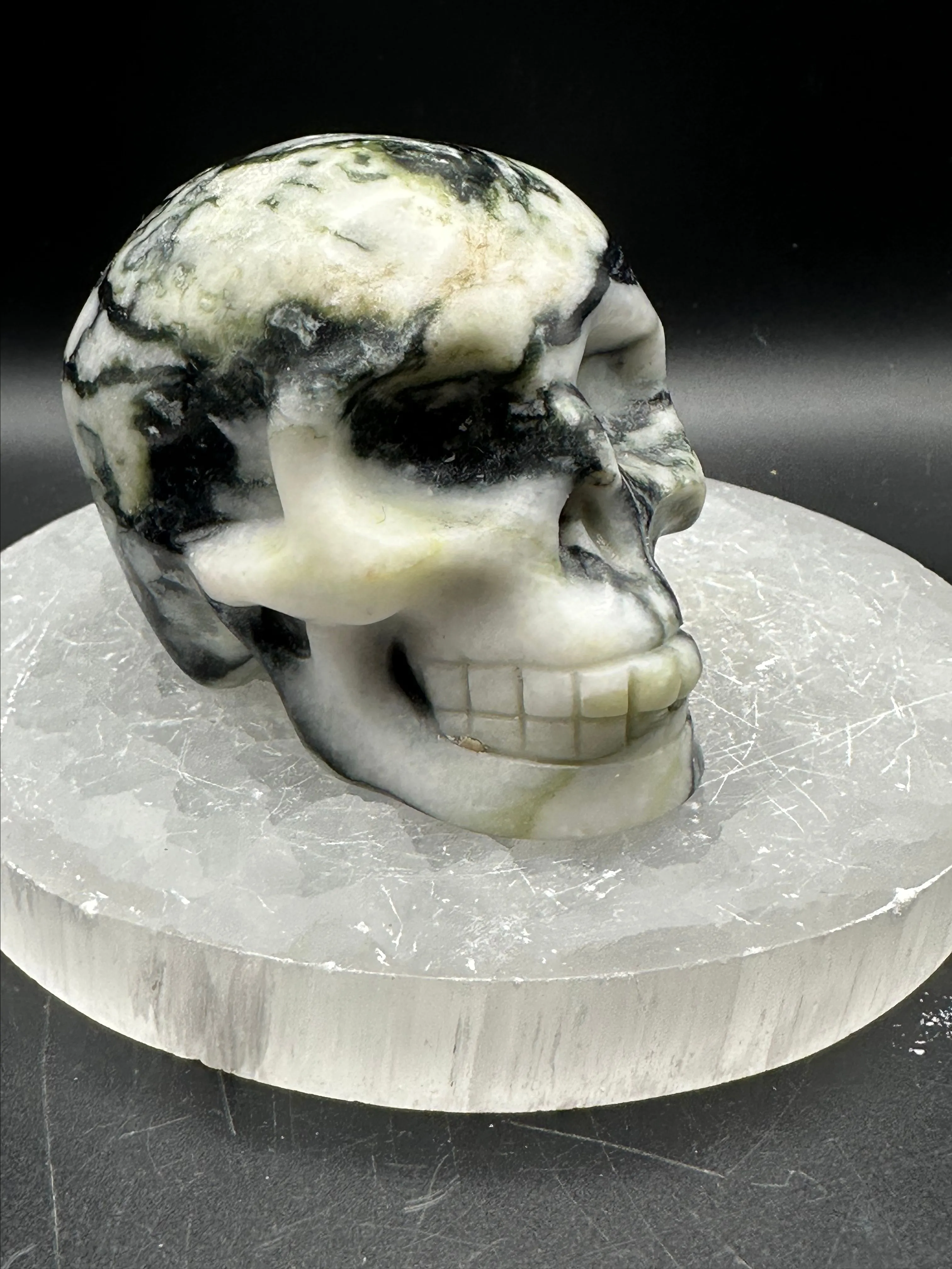 Product image for Zebra Stone Skull