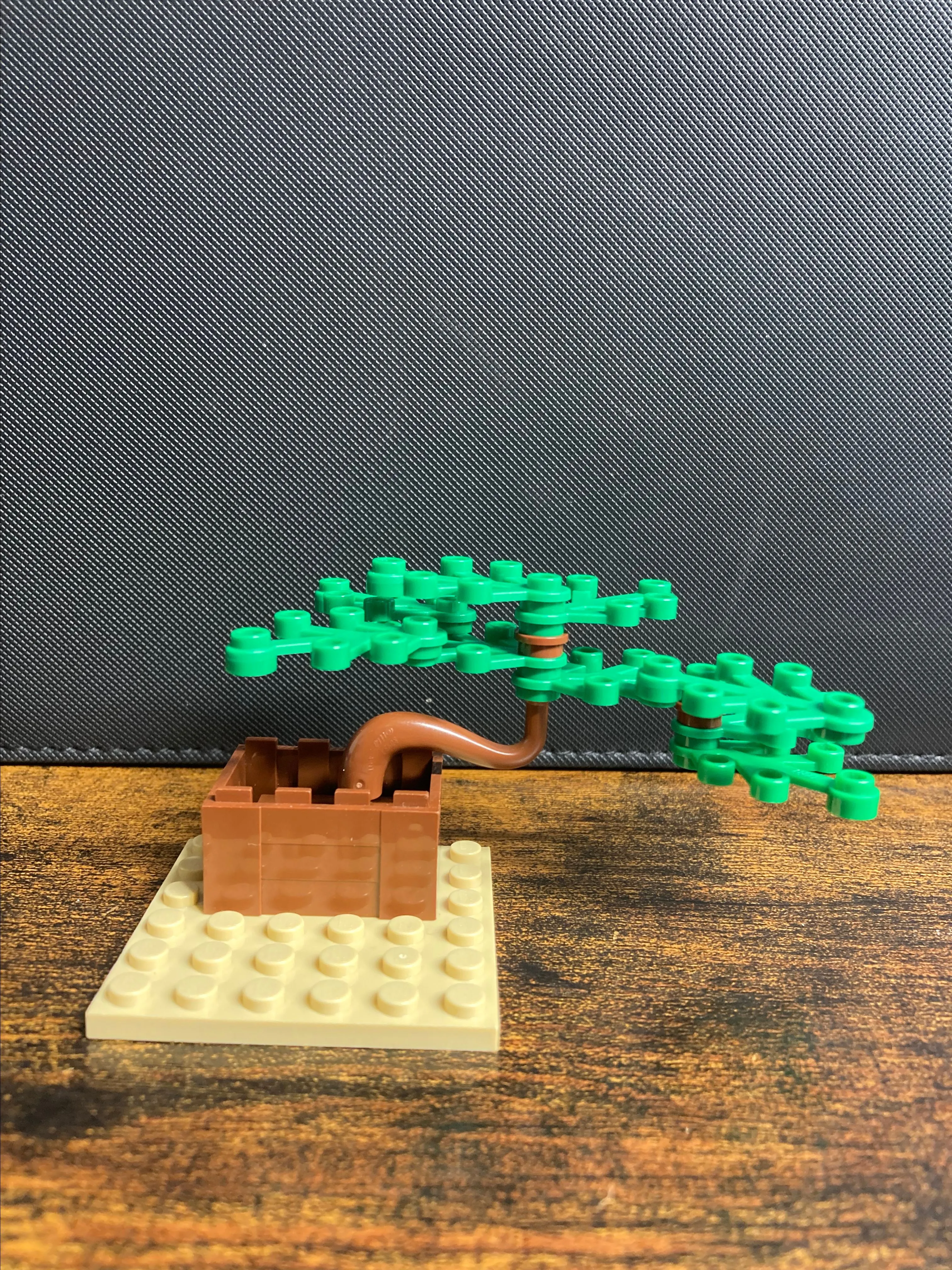 Product image for Bonsai tree - moc