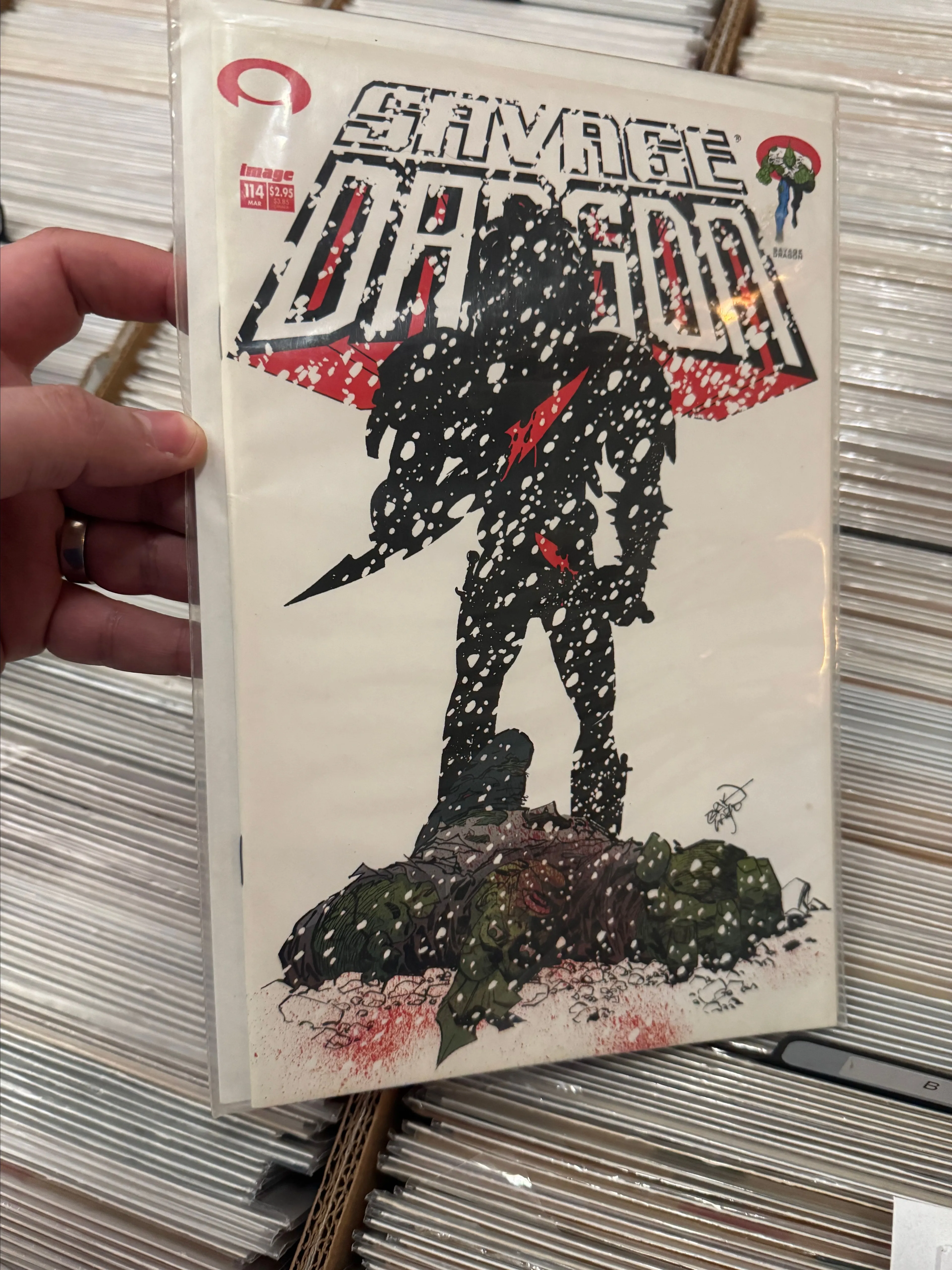 Product image for Savage Dragon #114