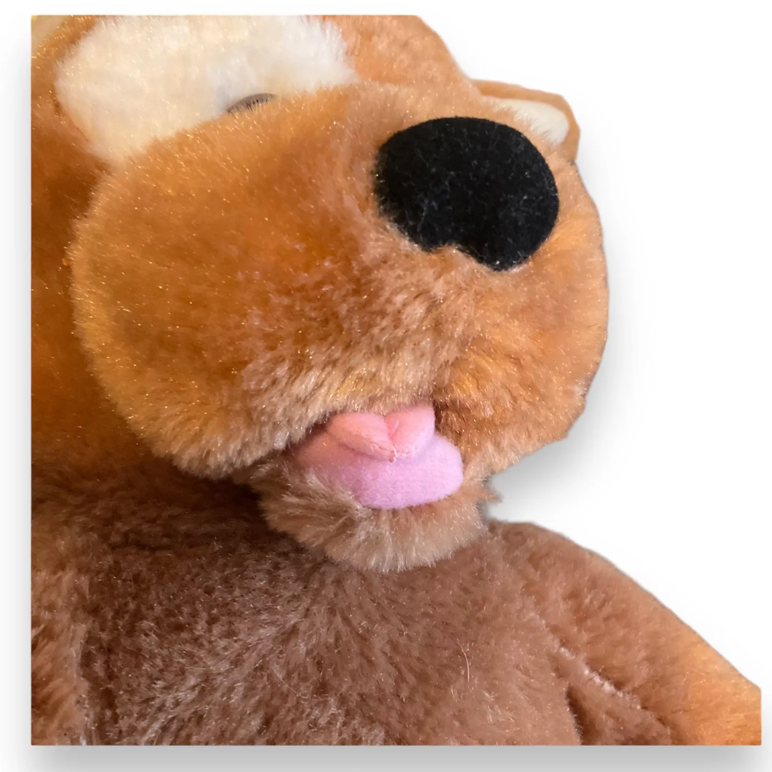 Listing Image Blurred Background