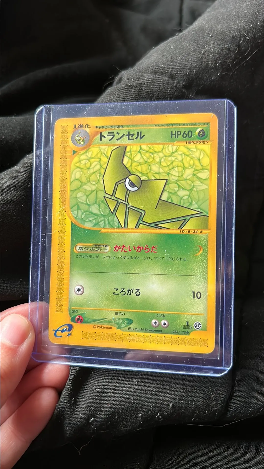 Product image for Japanese Metapod 33 EREAD