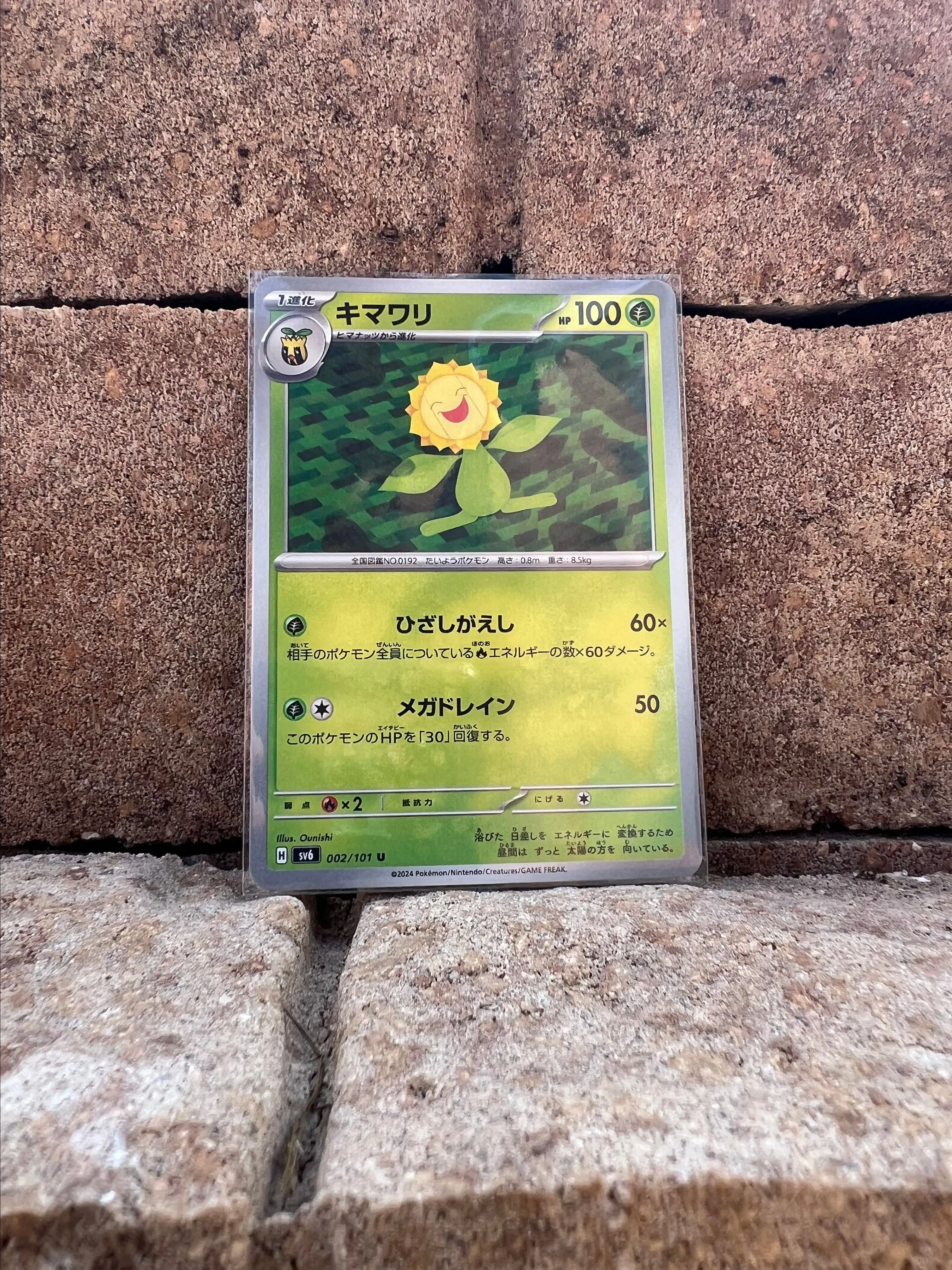 Product image for Sunflora