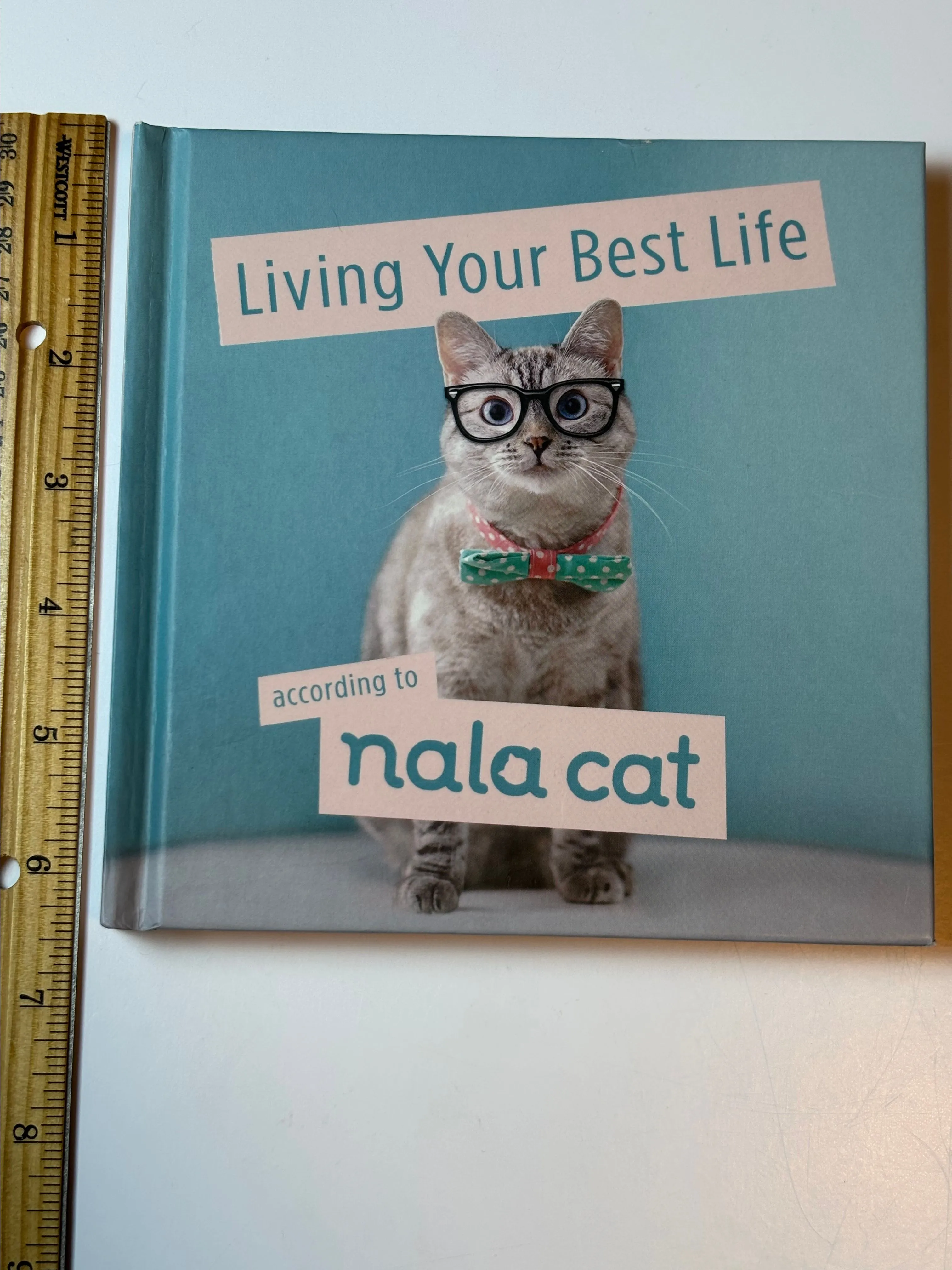 Product image for Small Cat Book, Living Your Best Life According to Nala Cat, Cute Cat Book, Inspirational Cats