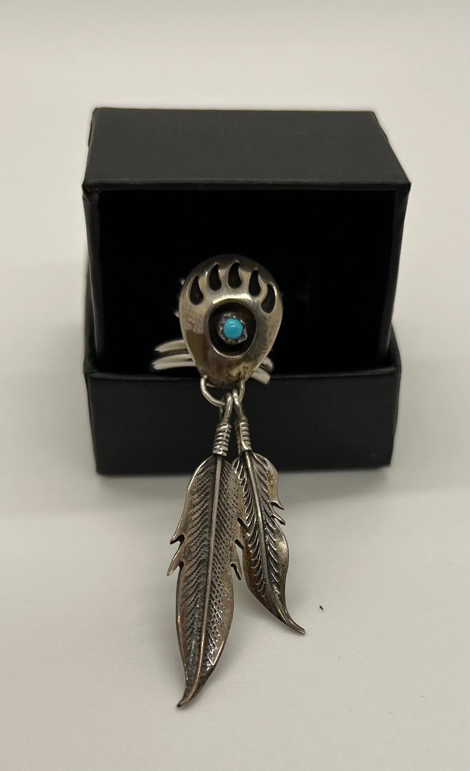 Product image for Native American