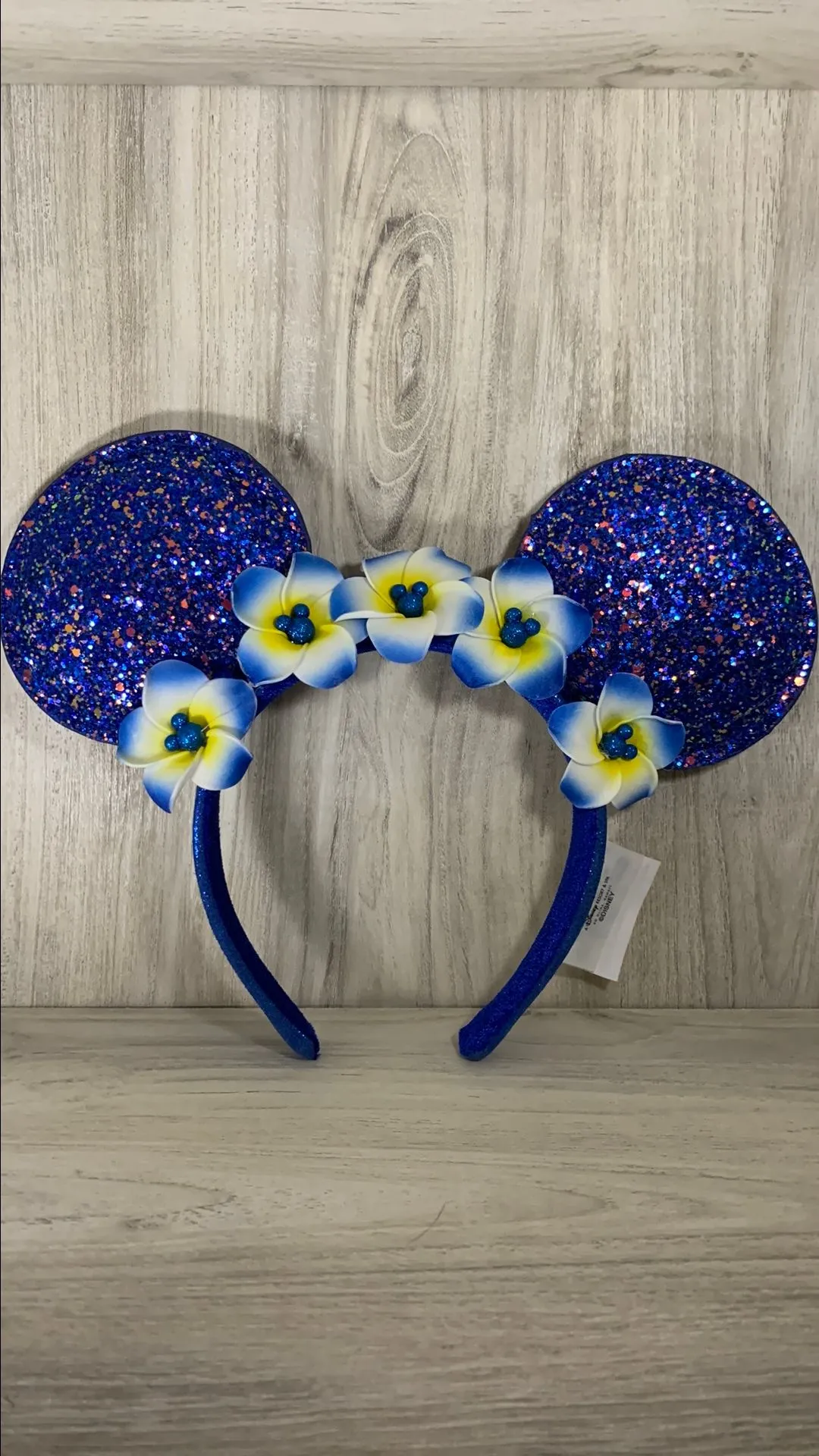 Product image for Aulani Make A Wish Wishes Come True