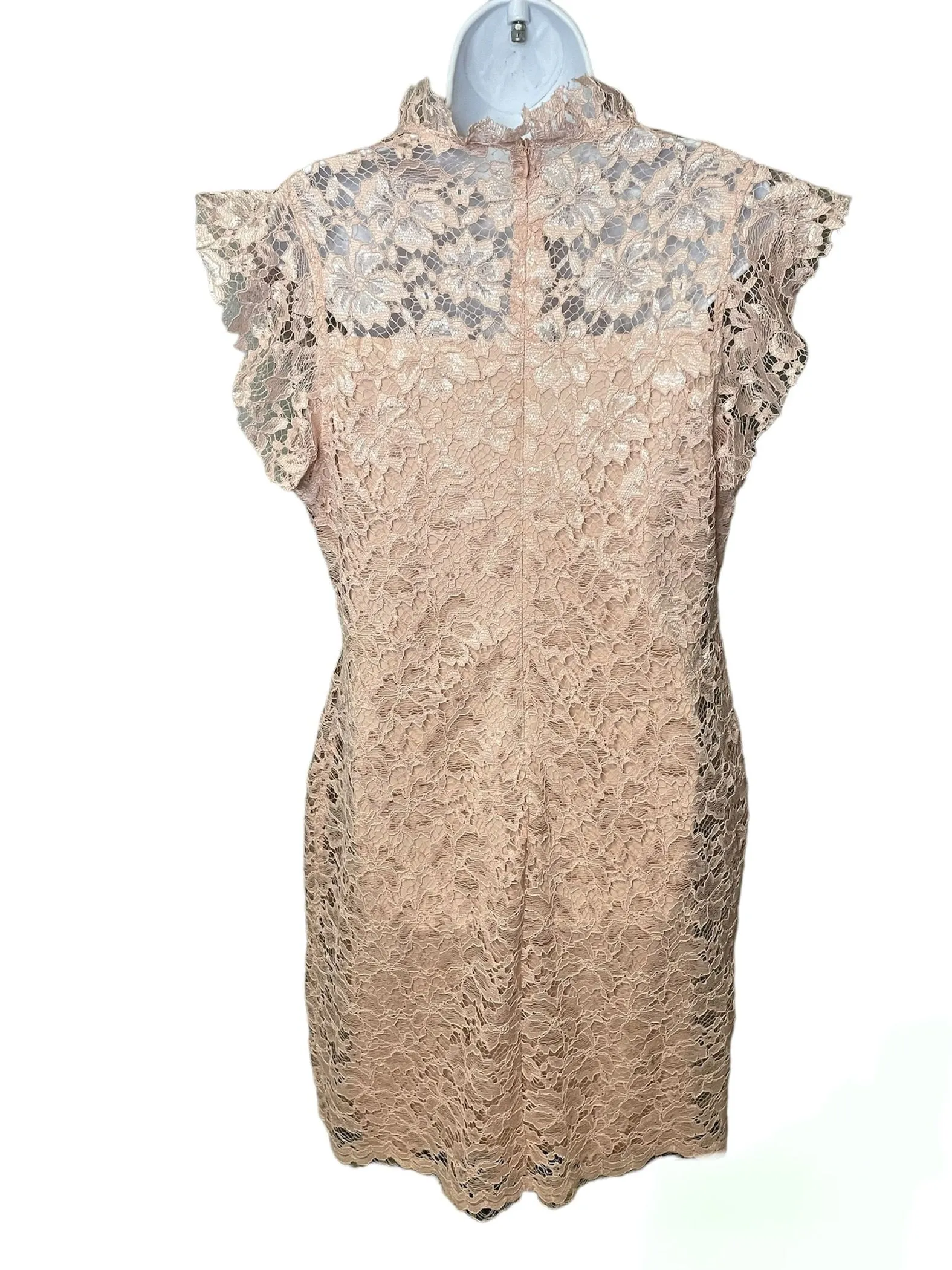 Enfocus Studio Rose Gold Lace Dress Formal Mother Of The Bride Womens Size  14  Whatnot: Shop, Sell, Connect