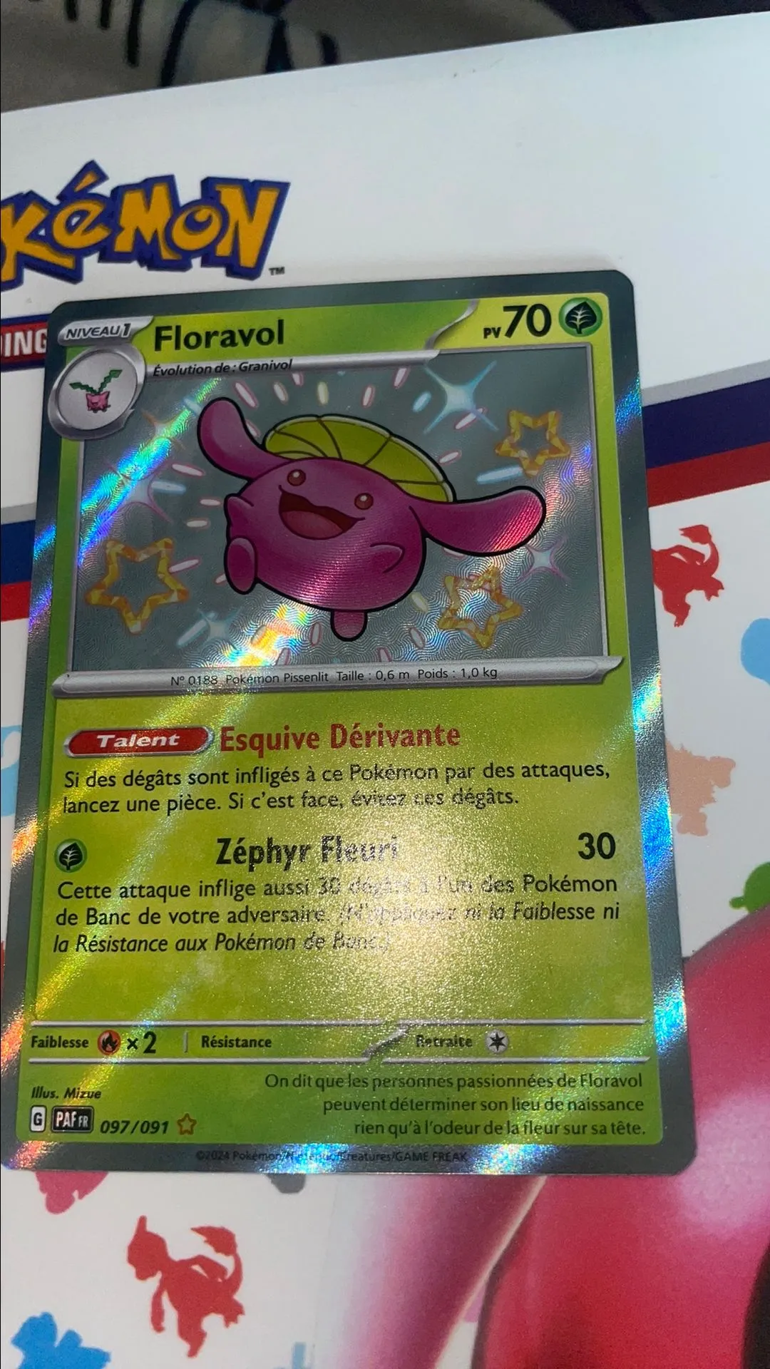 Product image for Carte floravol Shany