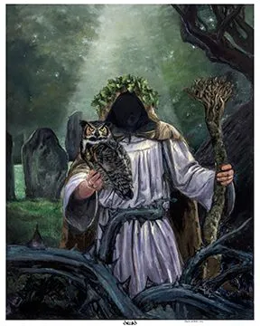 Product image for Druid
