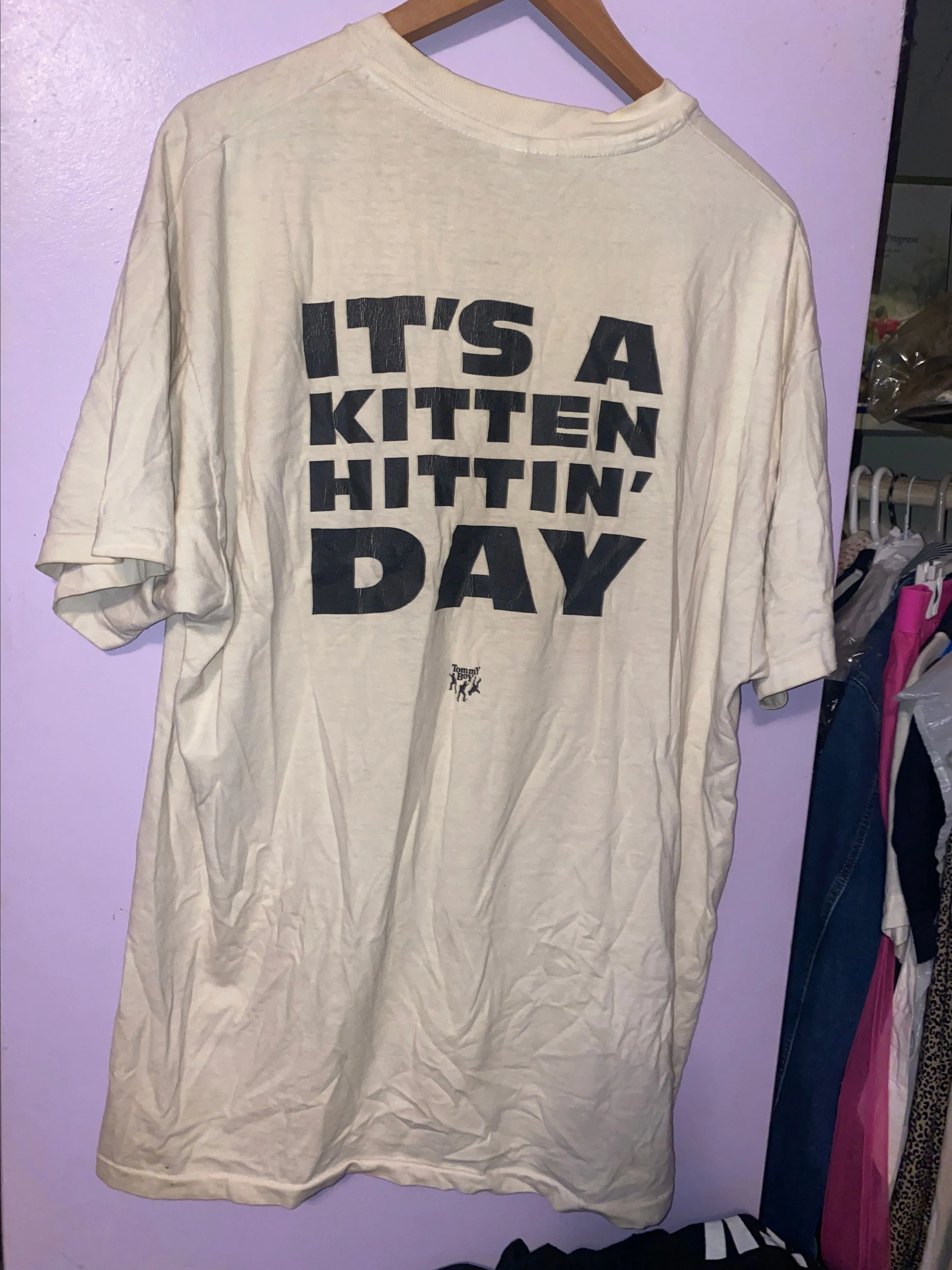 Product image for a vintage Naughty by Nature "It's A Kitten Hittin' Day" T-shirt size xL used