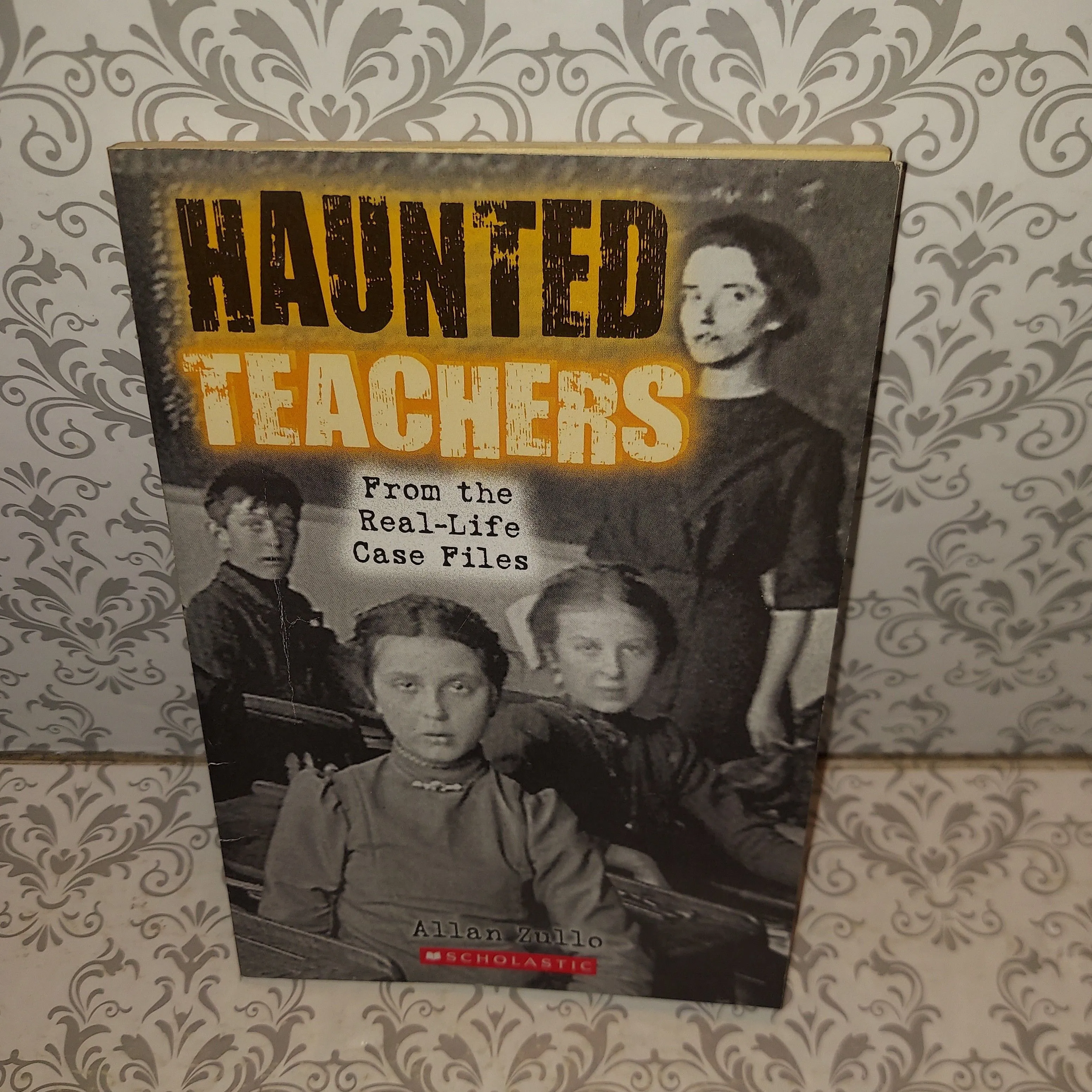 Product image for Haunted Teachers