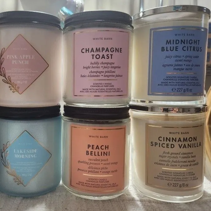 Product image for 1-random single wick bath and body works candle.