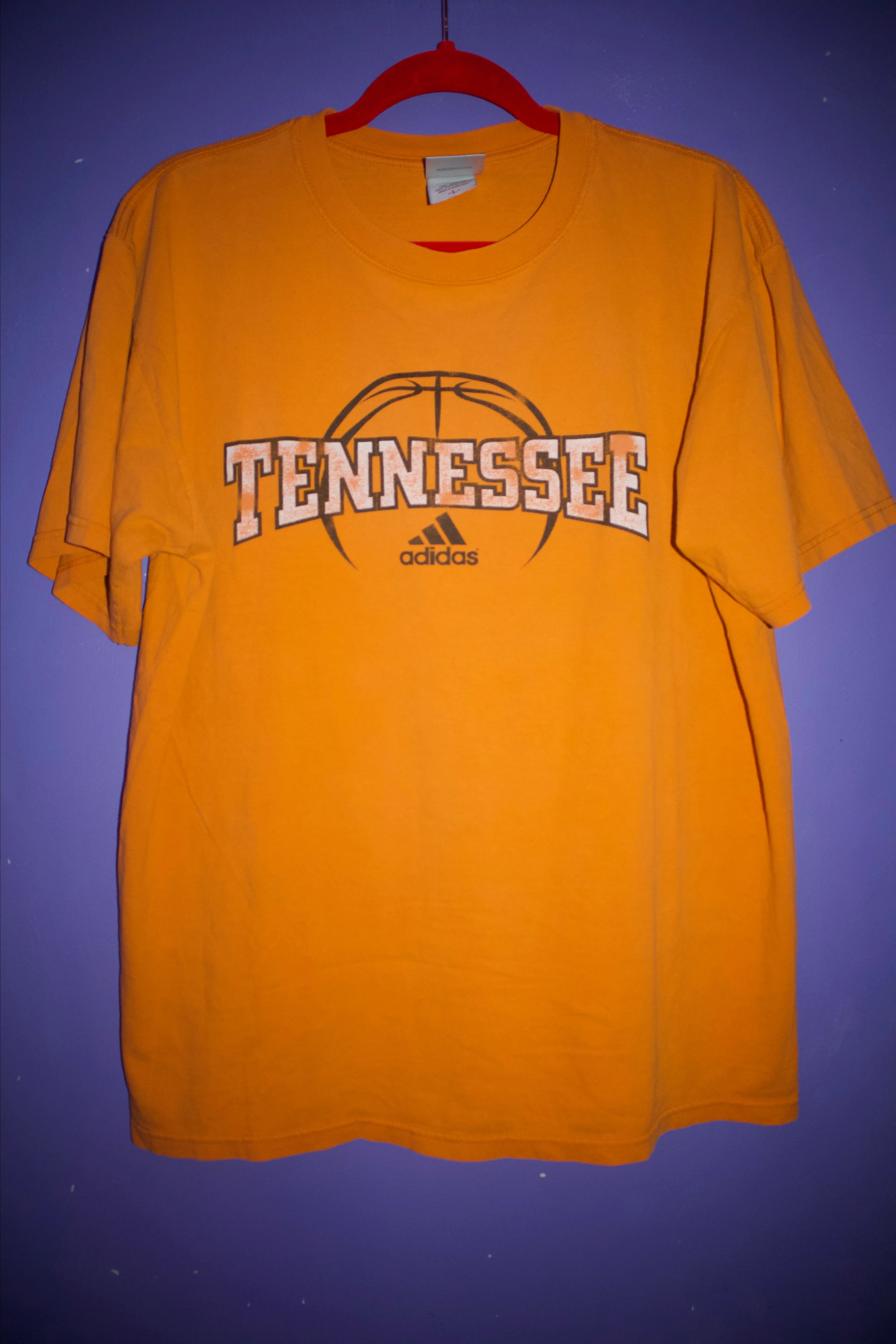 Product image for 2008 Tennessee Champions Basketball 