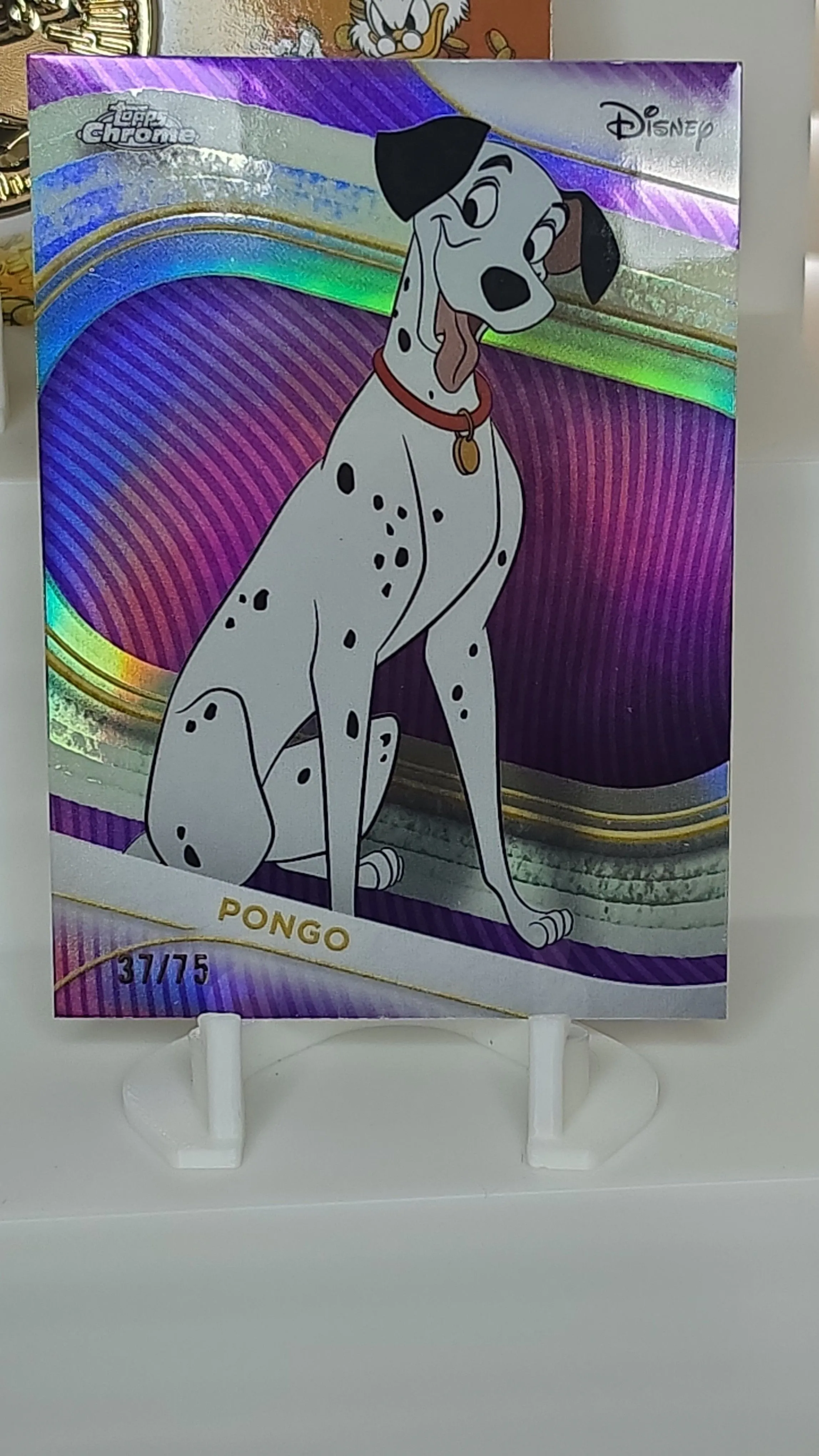6cd1c8d8-a5fe-4f60-a664-a24ae9ef00cc