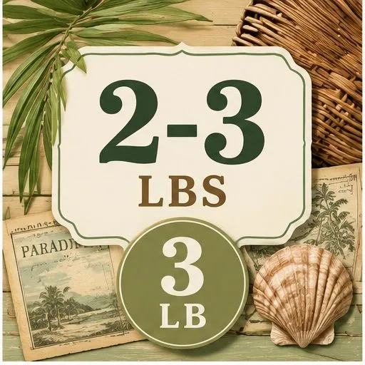 6d19c43d-1beb-4431-89be-18e2b38ce9af