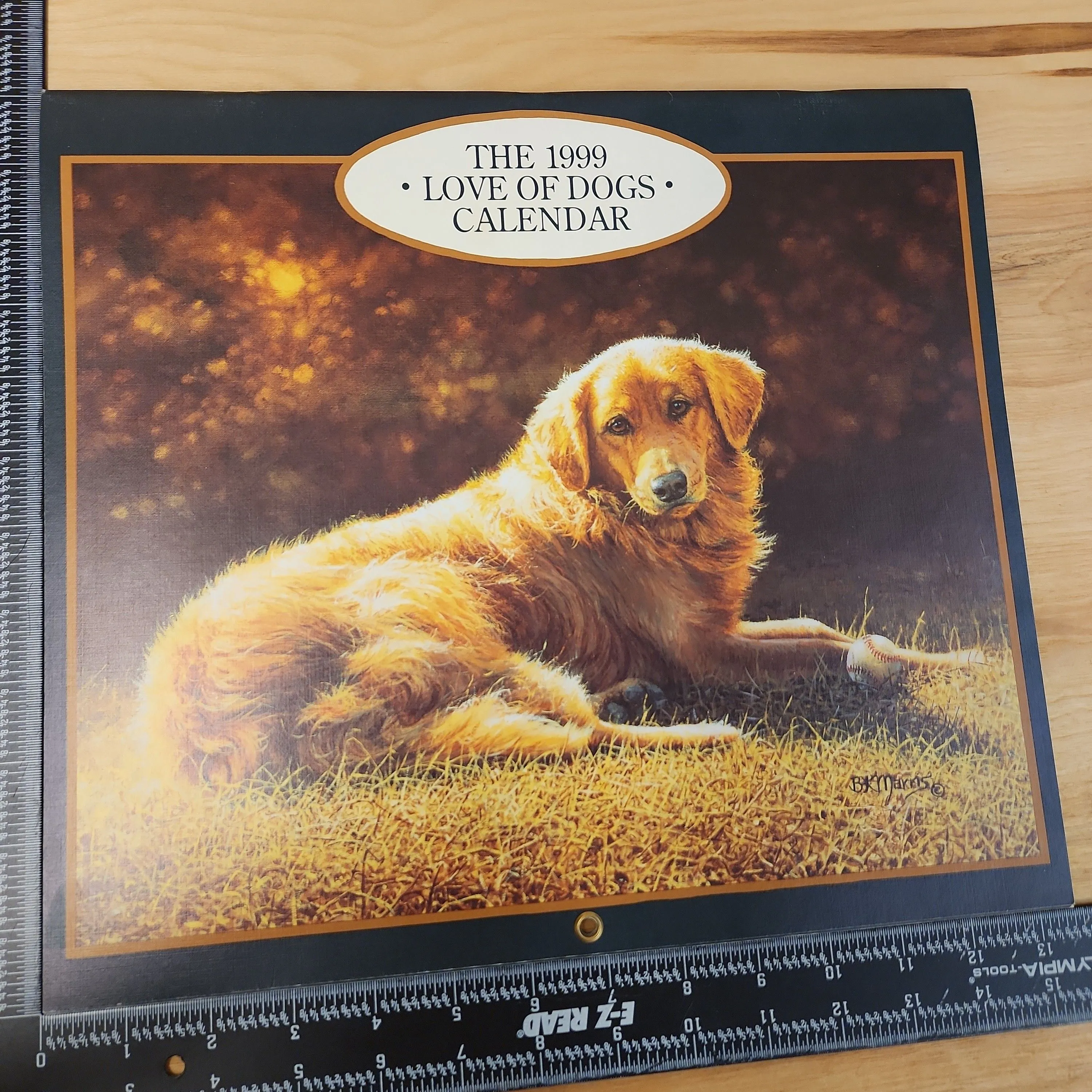 Product image for Bonnie Marris John Weiss Love Of Dogs Paintings Art Calendar 1999