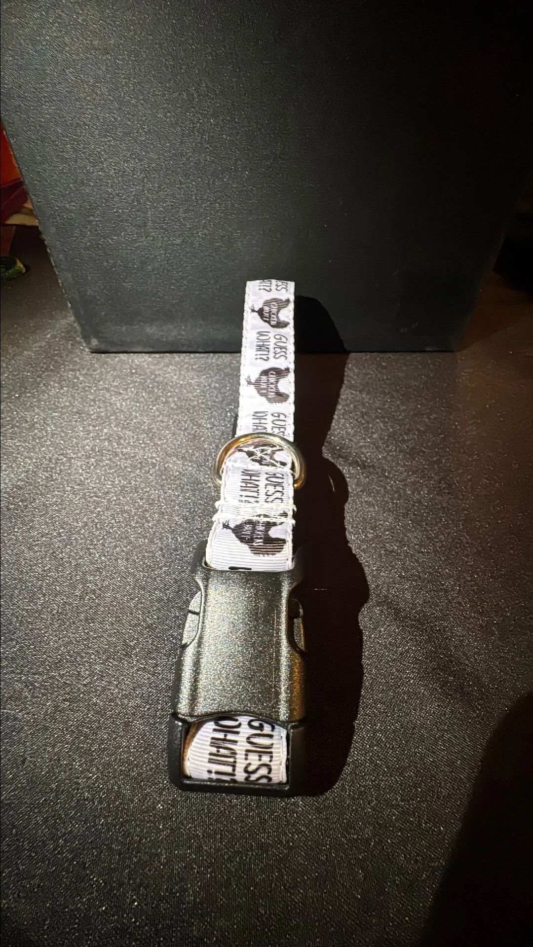 Product image for Medium Dog Collar