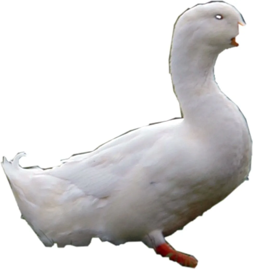 6ec1a0b3-90de-4d4a-b047-7eb64043702f