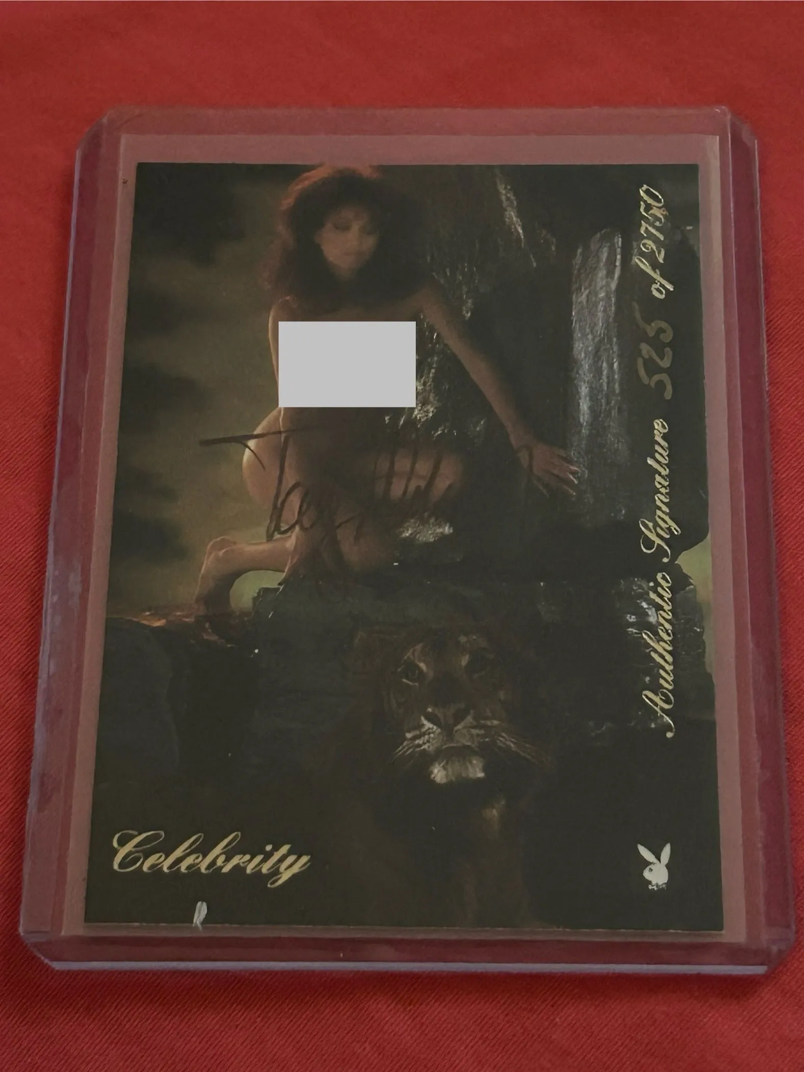 Product image for 0. $35 - Tanya Roberts Signed Card