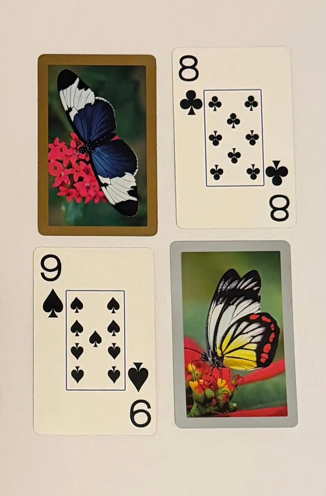 6eea87f9-a97c-4369-b91f-d664535d99c5