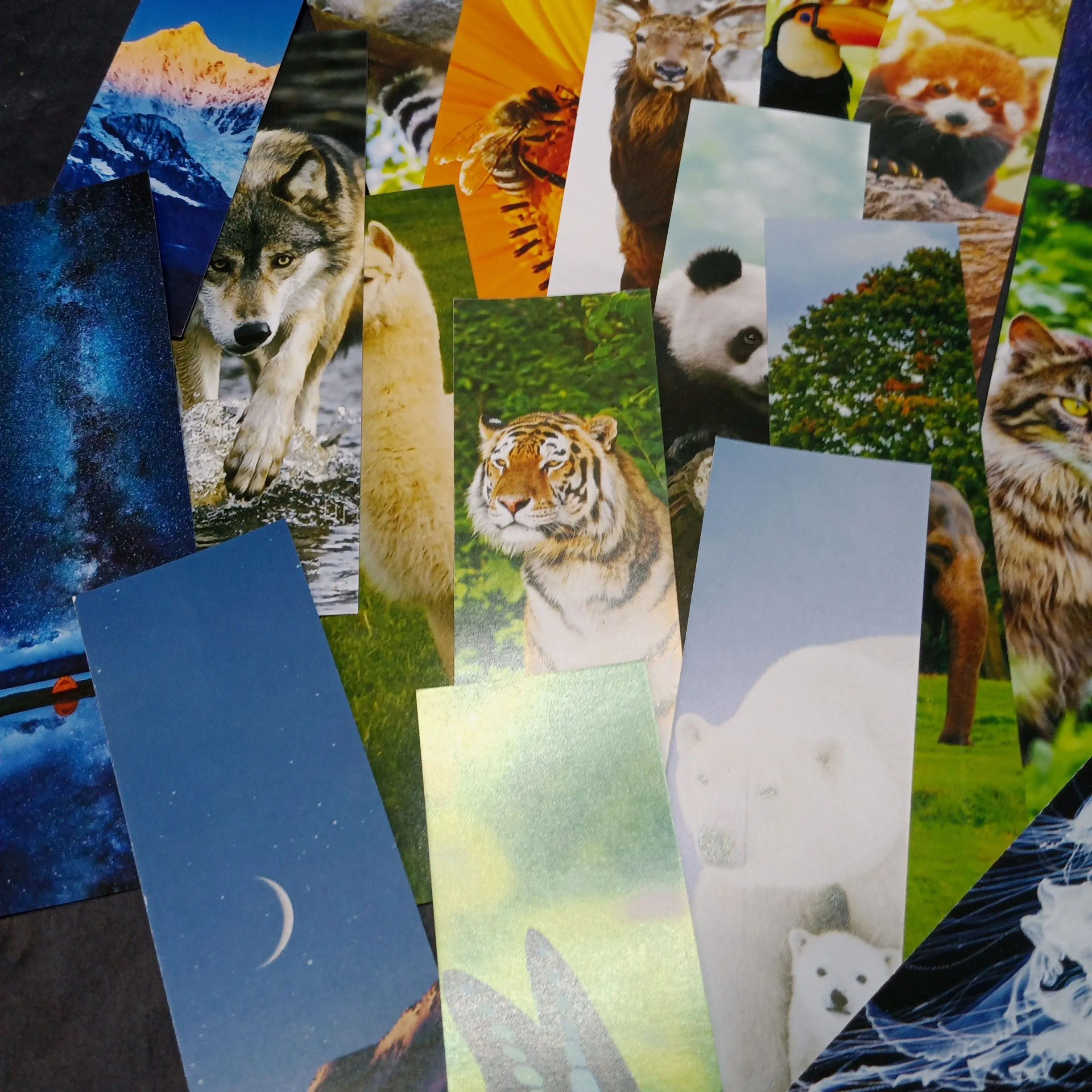 Product image for Random Bookmark 