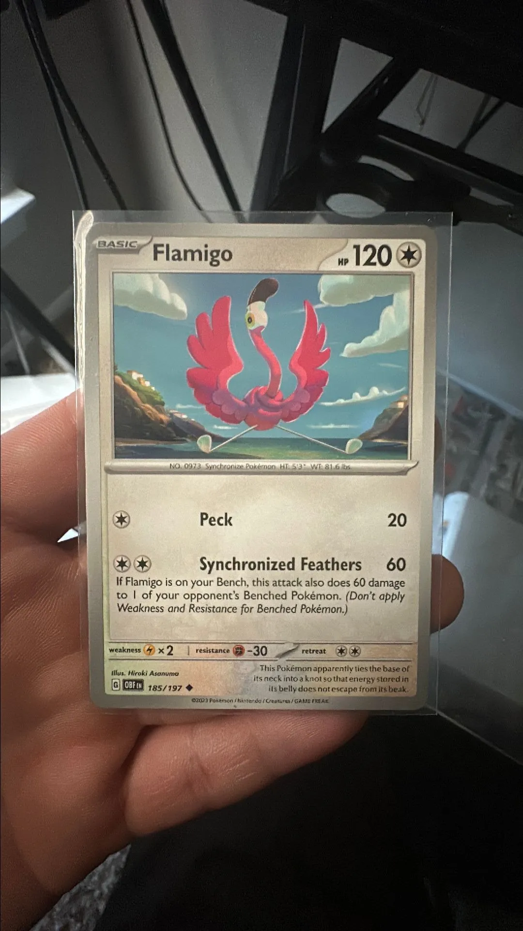 Product image for Flamigo (Obsidian Flames)