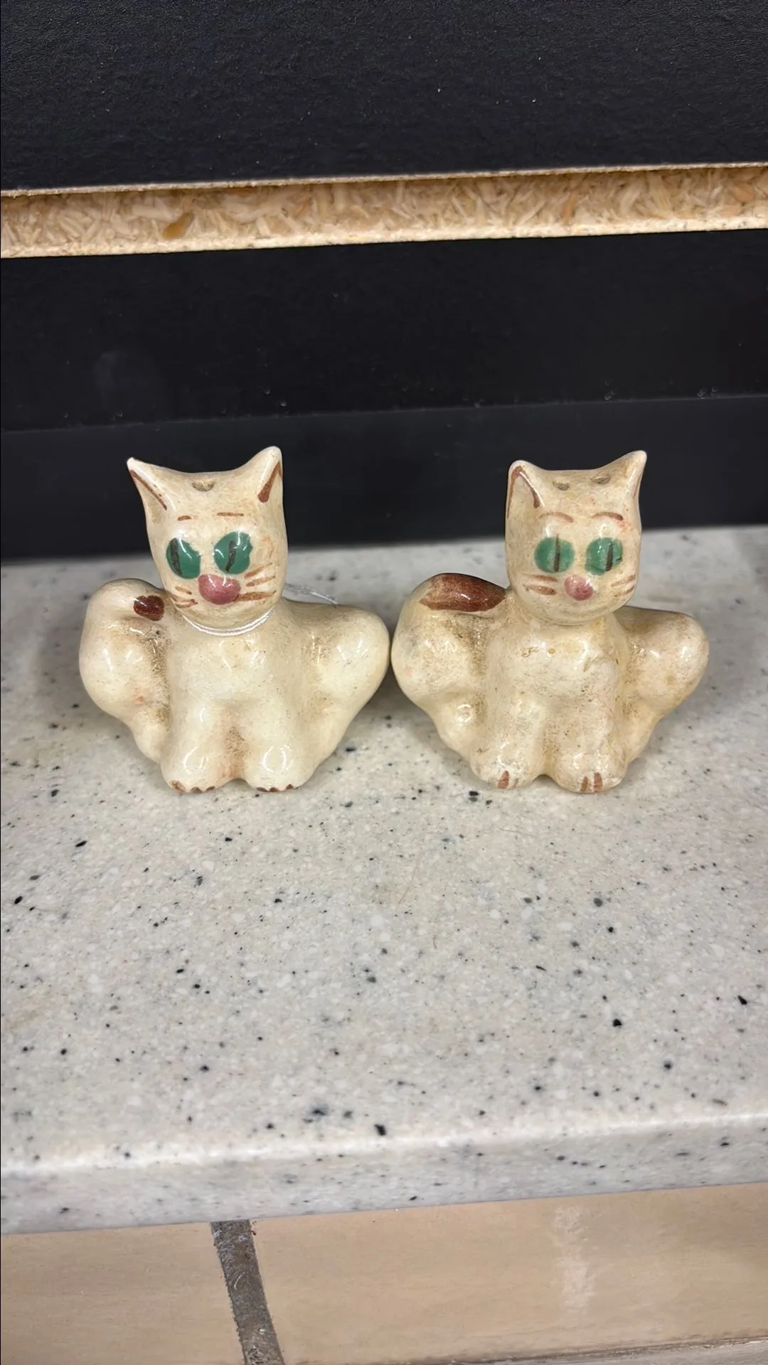 Product image for Cat S&P Shakers