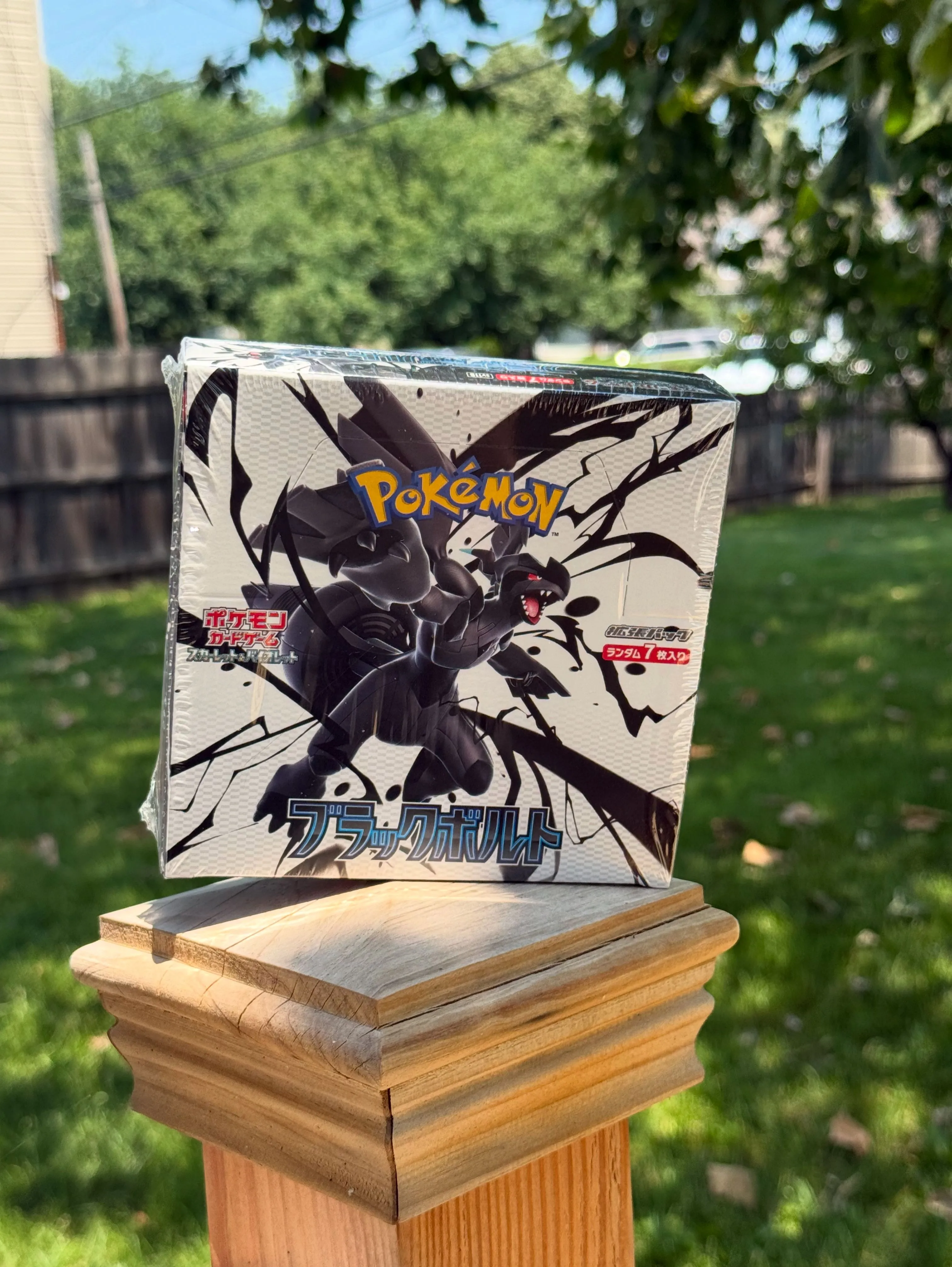 Product image for A1. NEW! Black Bolt Pokemon Booster Box (Japanese)