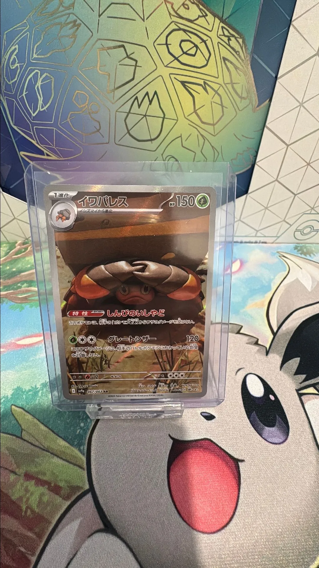 Product image for Crabaraque AR SV9a