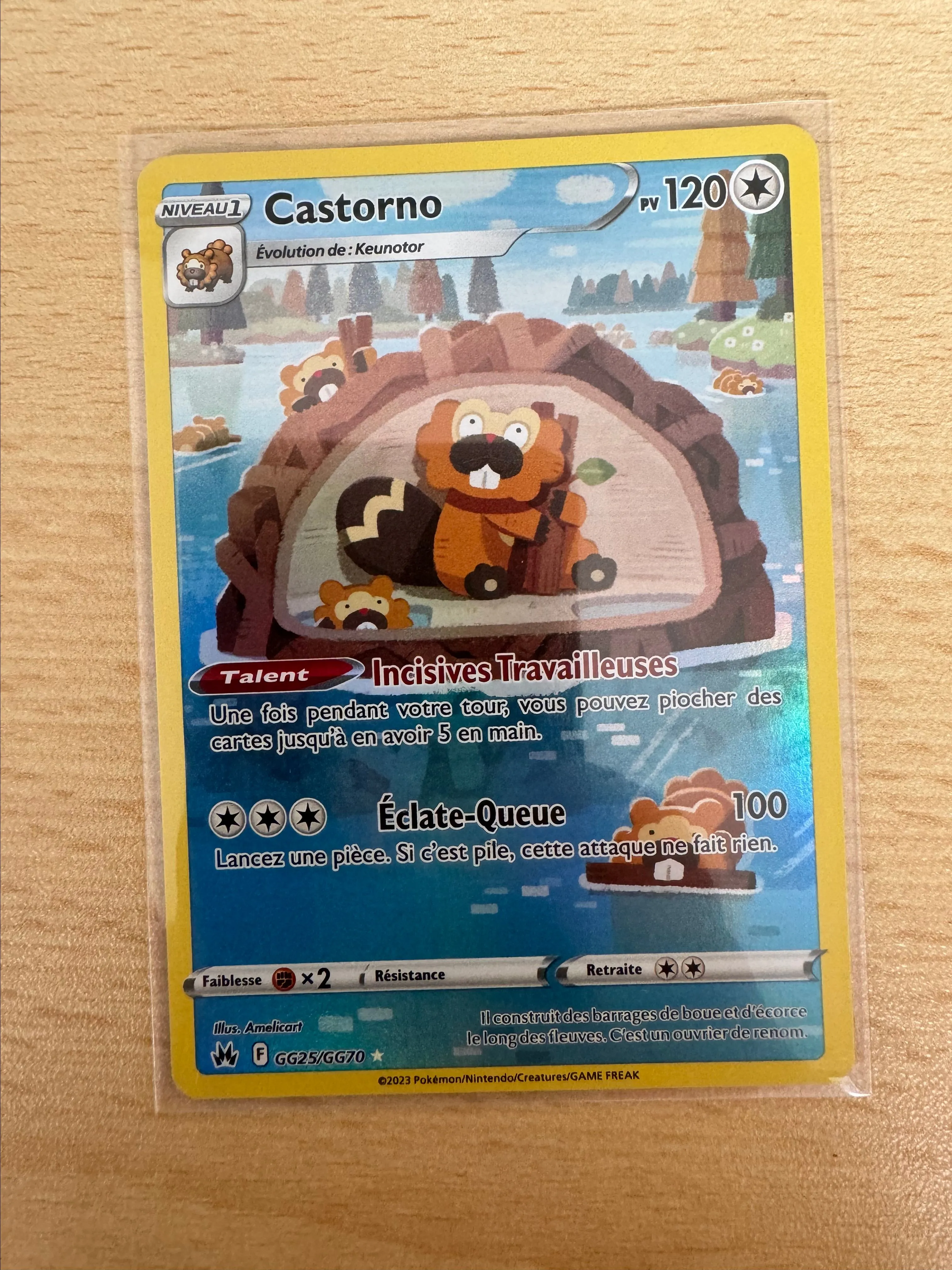 Product image for Castorno GG25