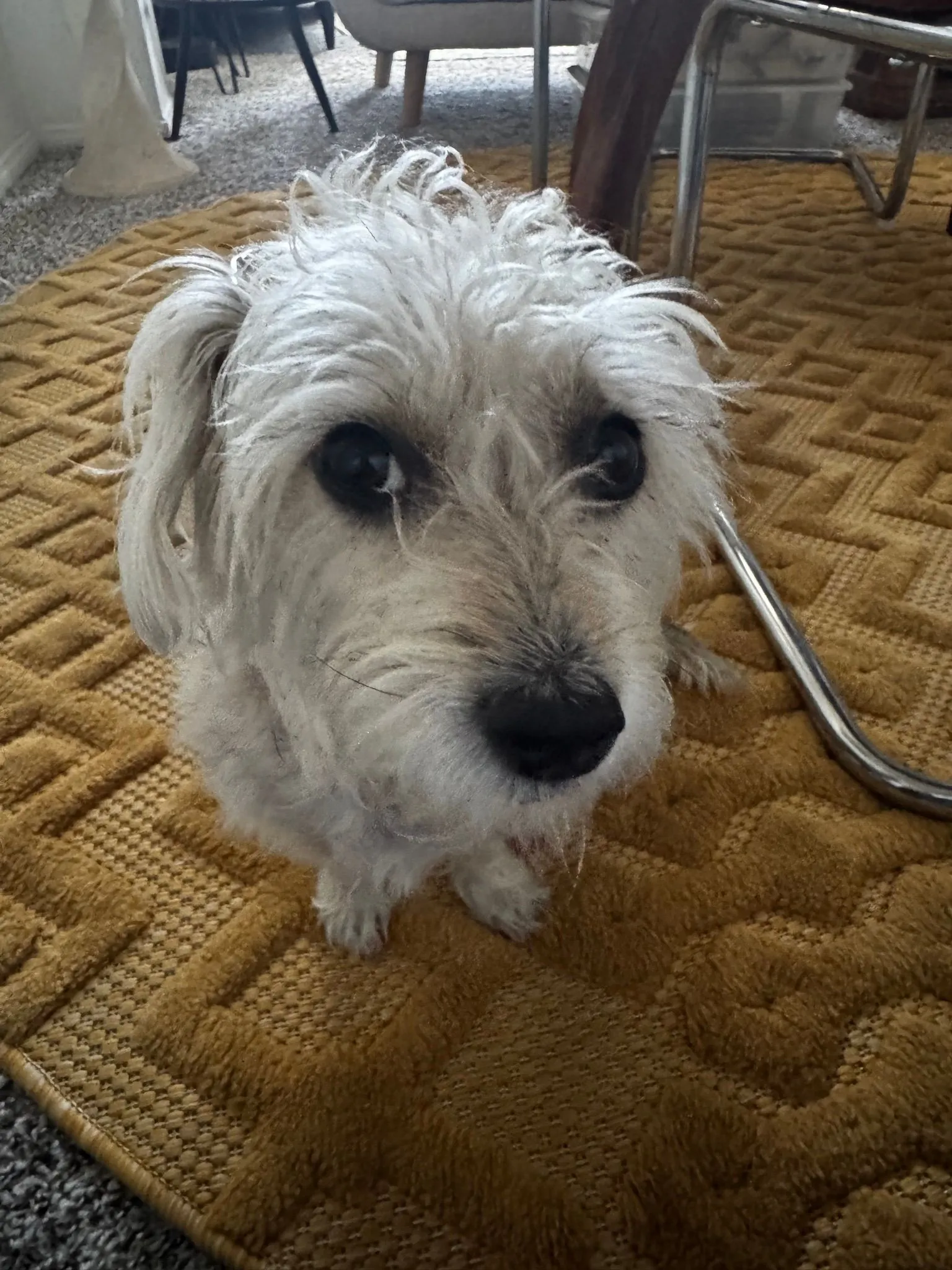 72ffd249-2a3e-40df-9a0c-b3dfd75a45f8
