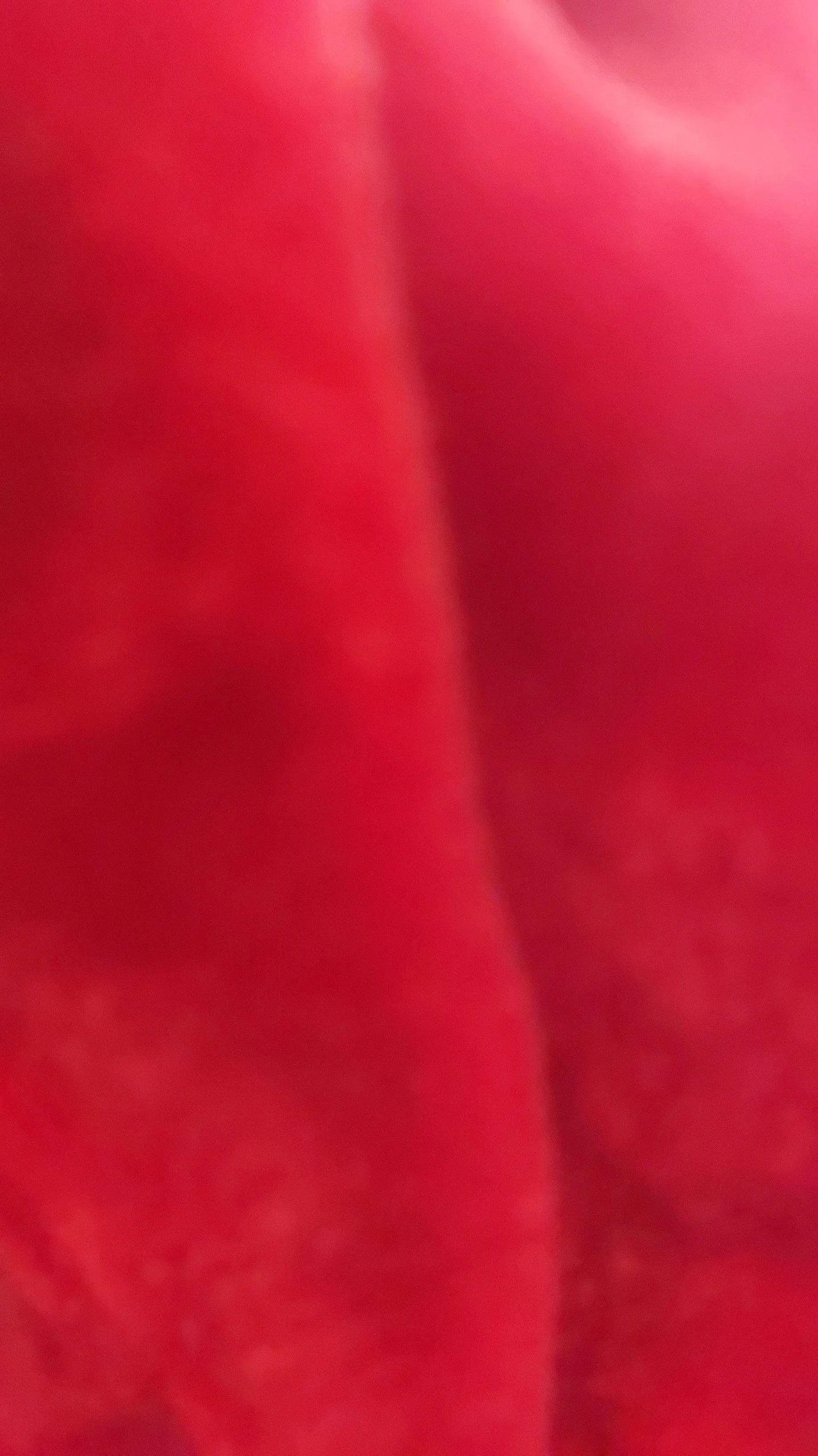 732c5b1e-9d2e-4e45-932b-43a91359ea8e